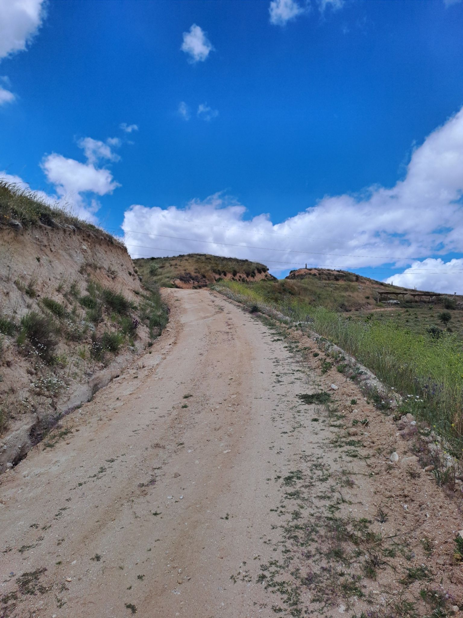 cerro longo 1
