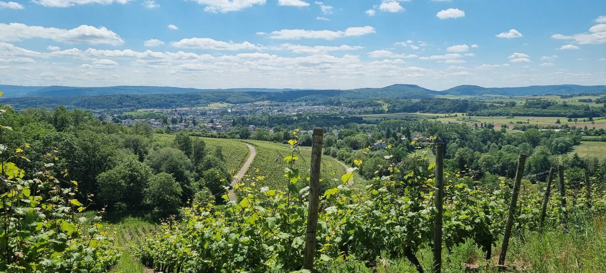Wittlicher Senke