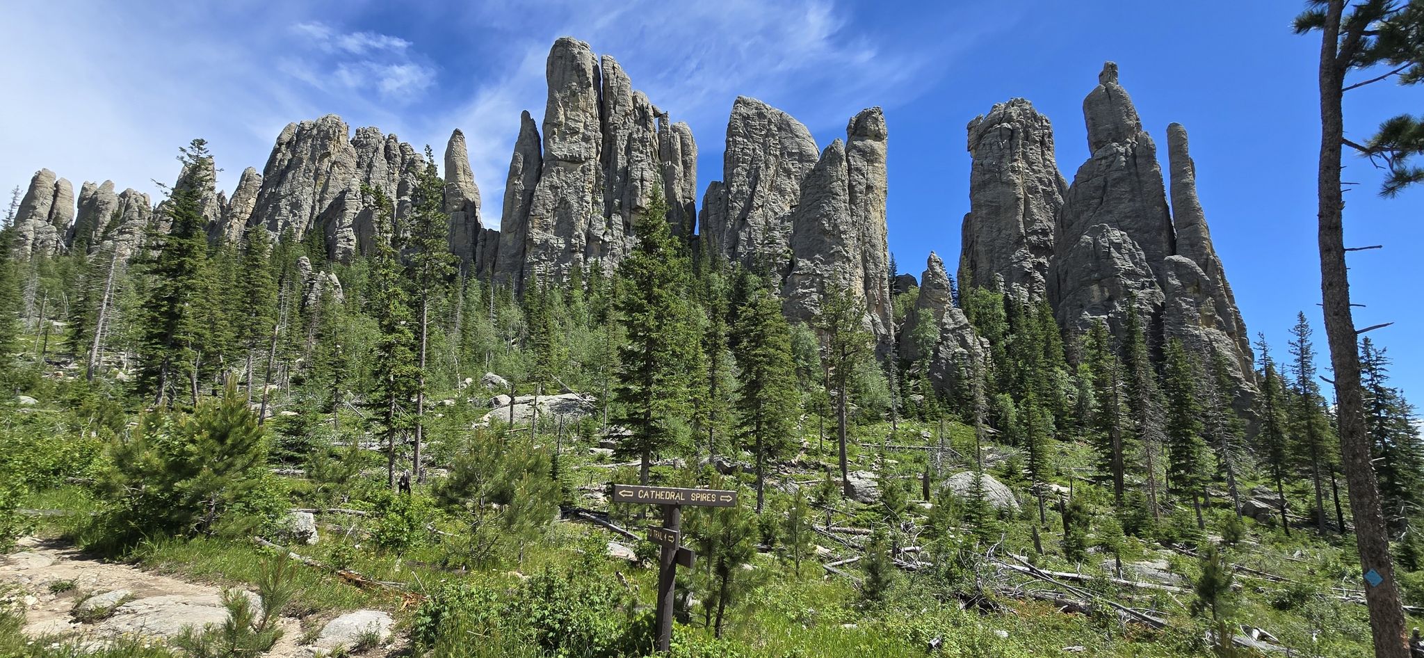 Towering, jagged rock spires dominate a lush green forest under a bright blue sky. - Cathedral Spires Trail run