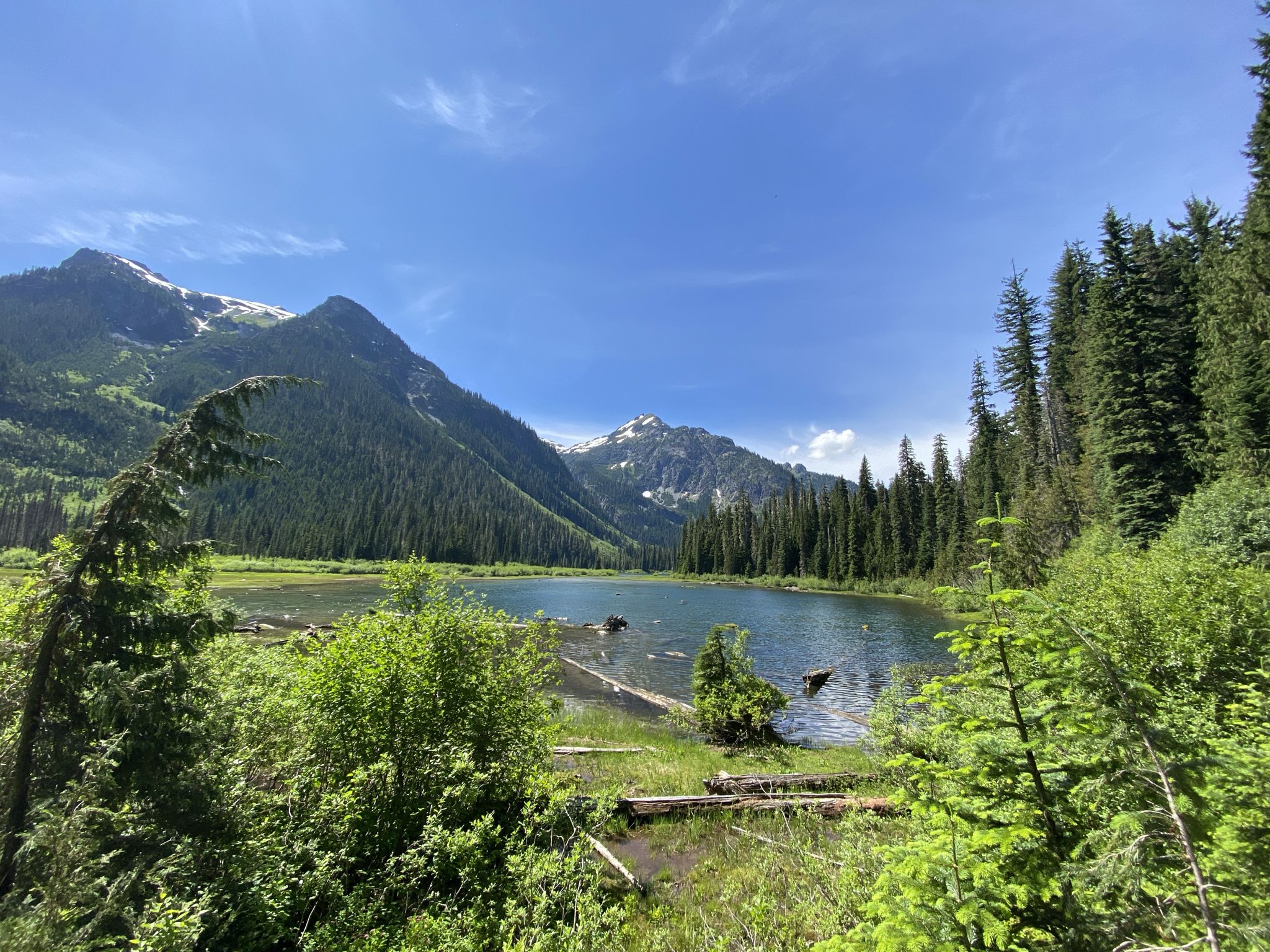 Sunny mountain lake surrounded by dense green forest and snow-capped peaks. - Lake Clarice Trail