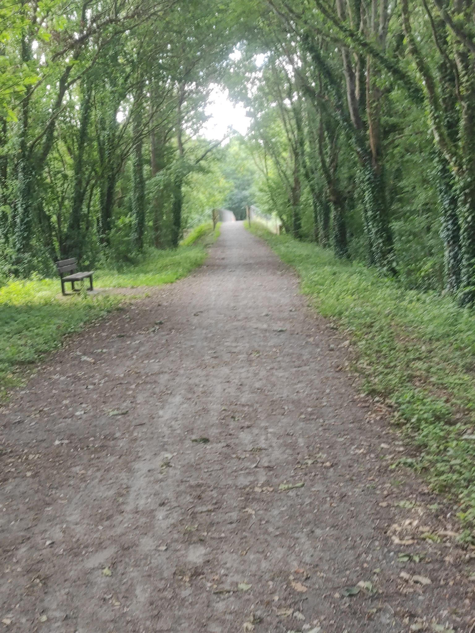 Voie verte 