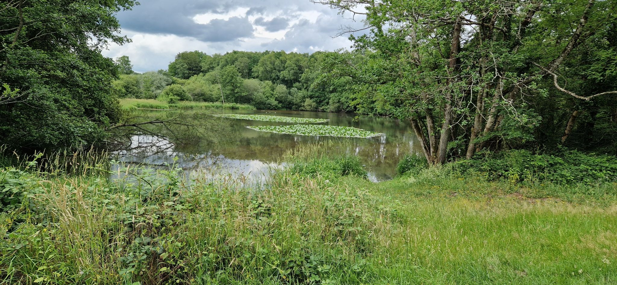 Etang et manoir de la forge.