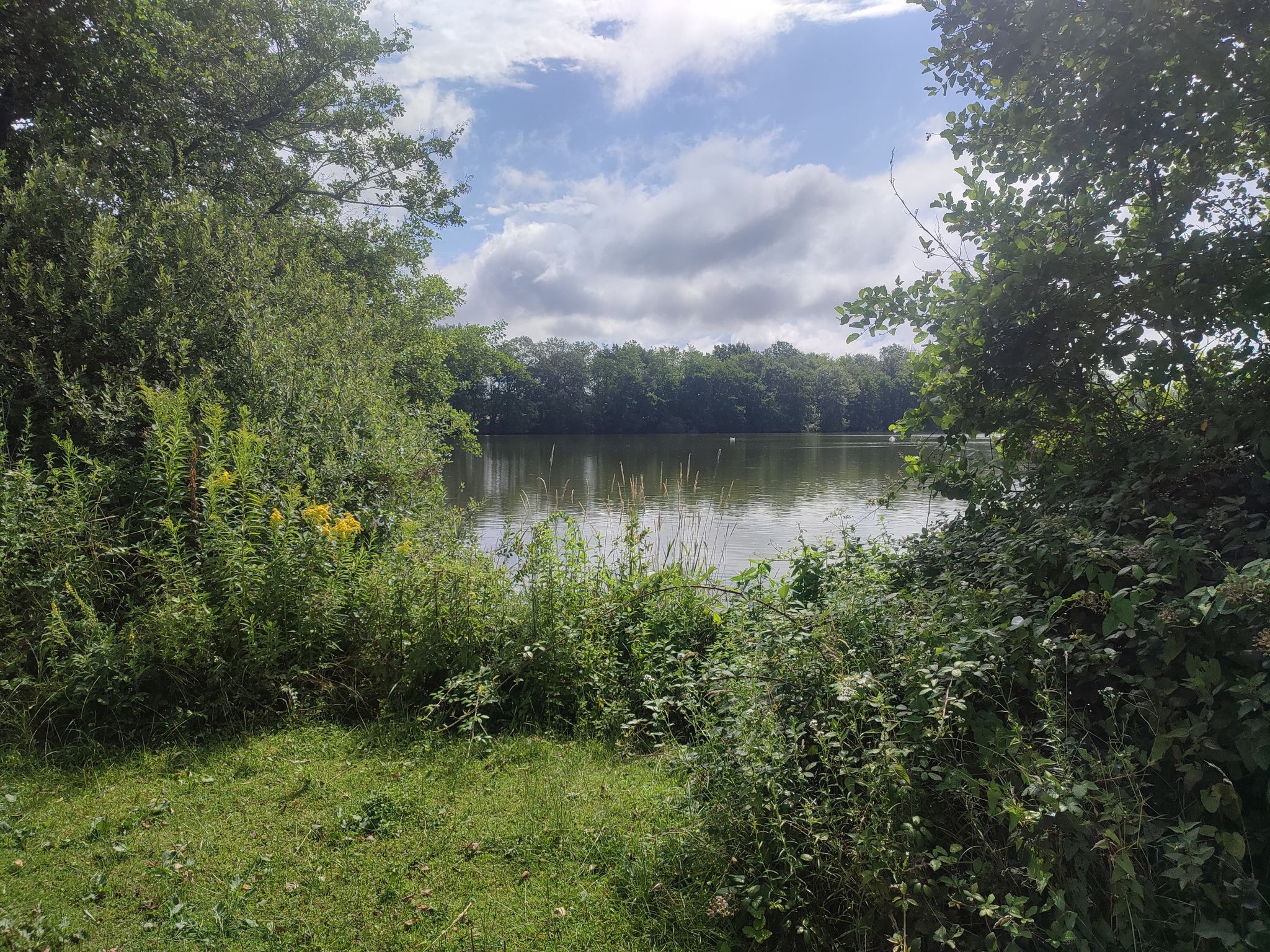 Teich rechts