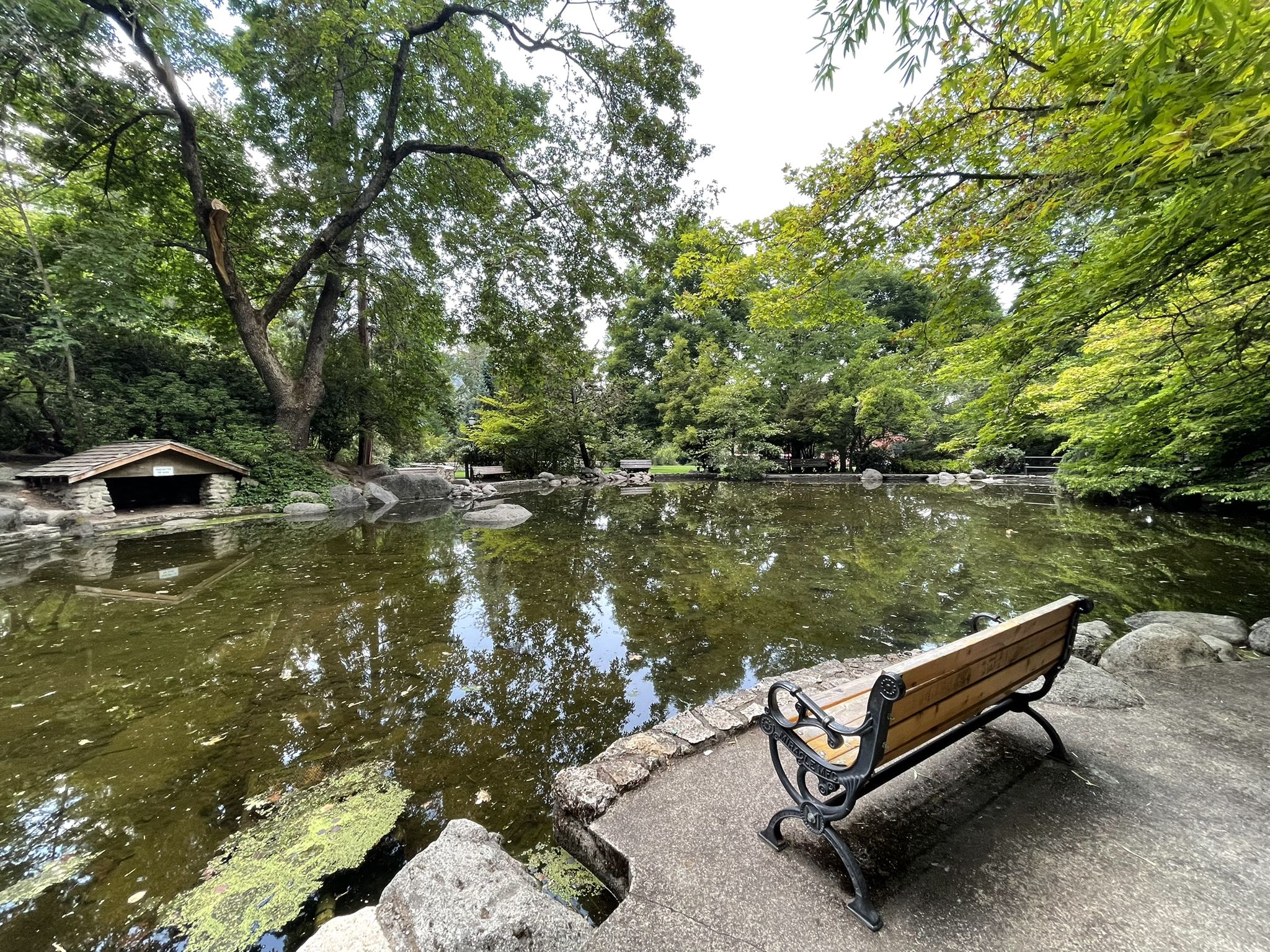 A tranquil pond with a wooden bench and boathouse surrounded by green trees. - Meyer Memorial Pond – Oregon Shakespeare Festival loop from Ashland