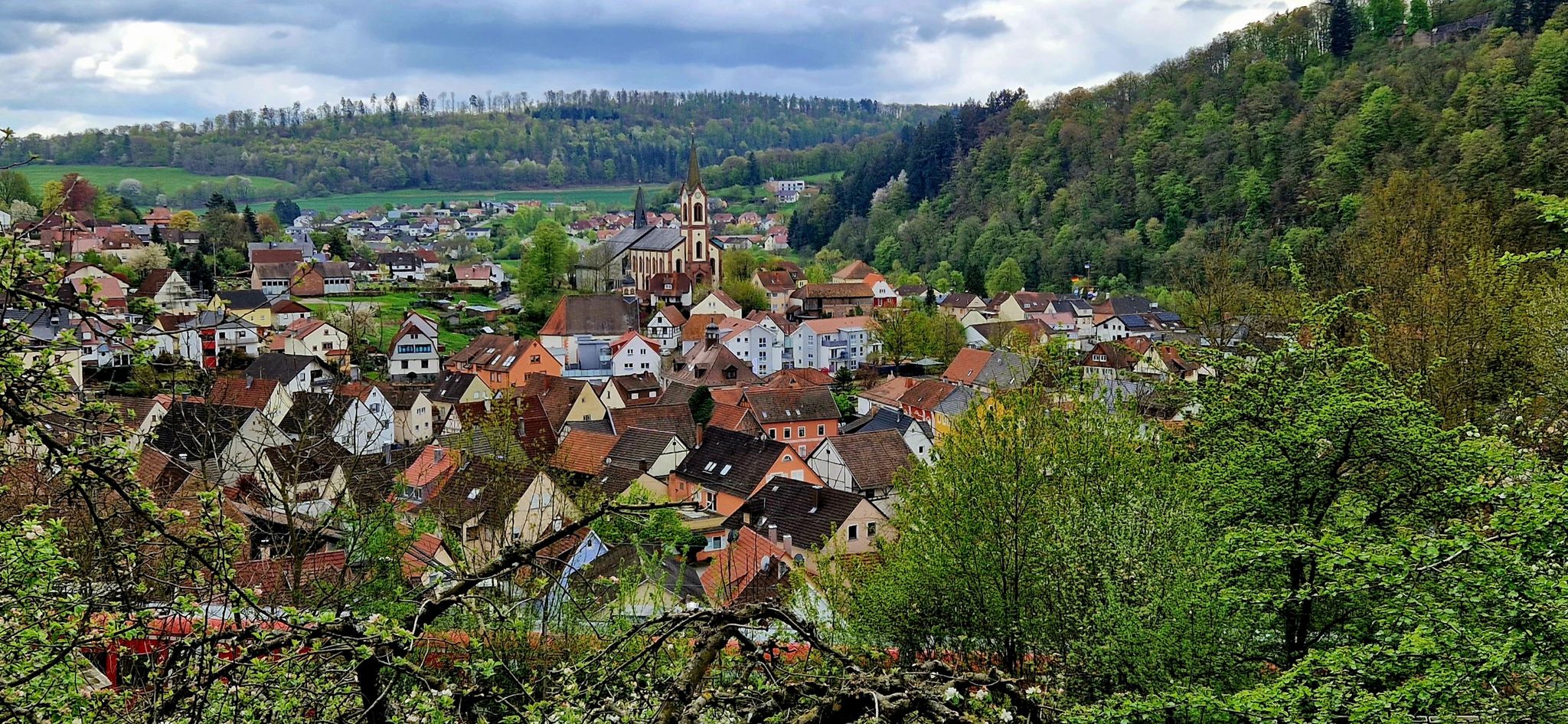 Blick auf Neckargerach