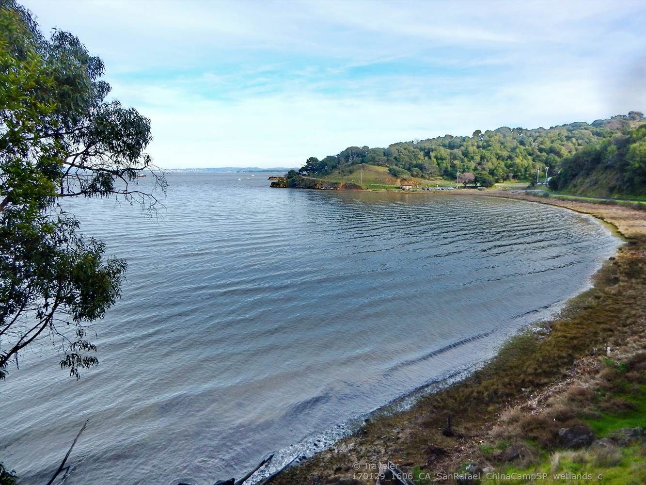 Calm bay with a curving shoreline, green hills, and trees. - China Camp Cycle Loop