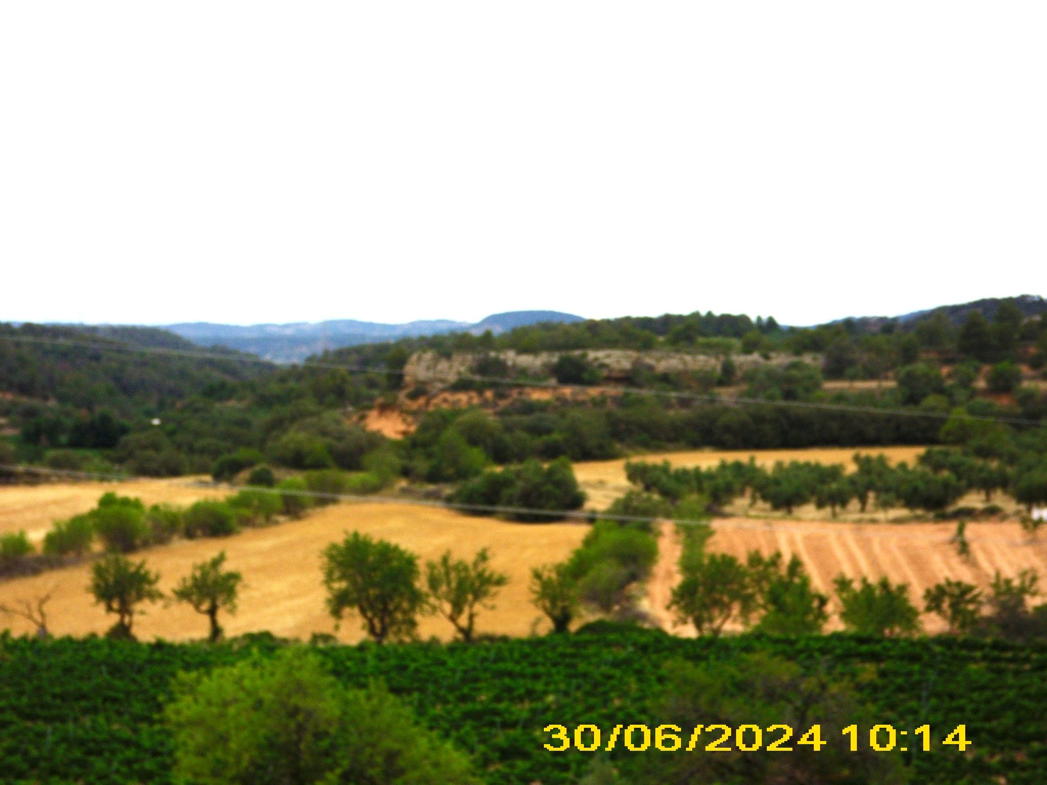 Garrigues, Terrassen aus Pedra Seca für Olivenbäume und Weinstöcke