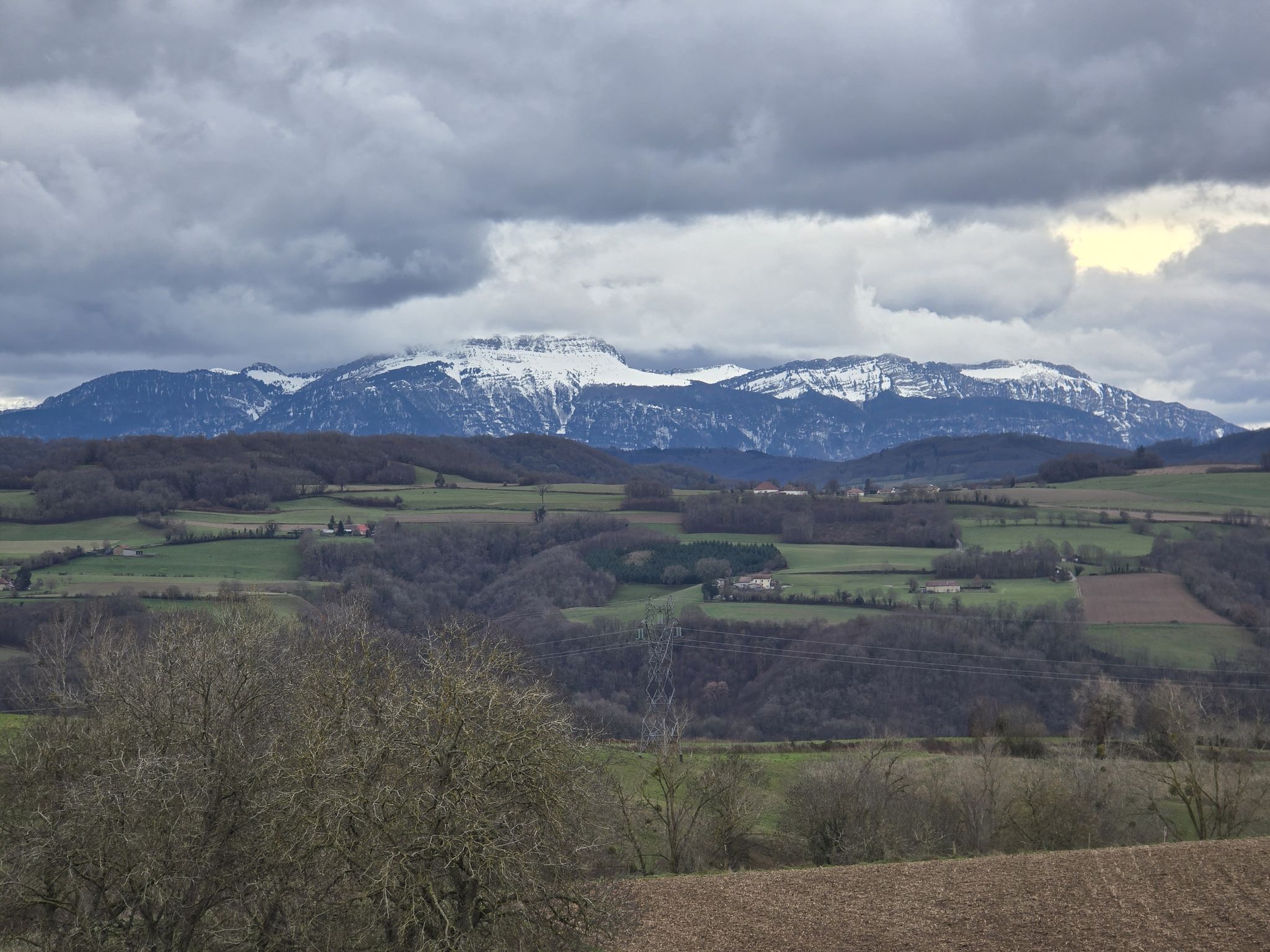 Chartreuse enneigée