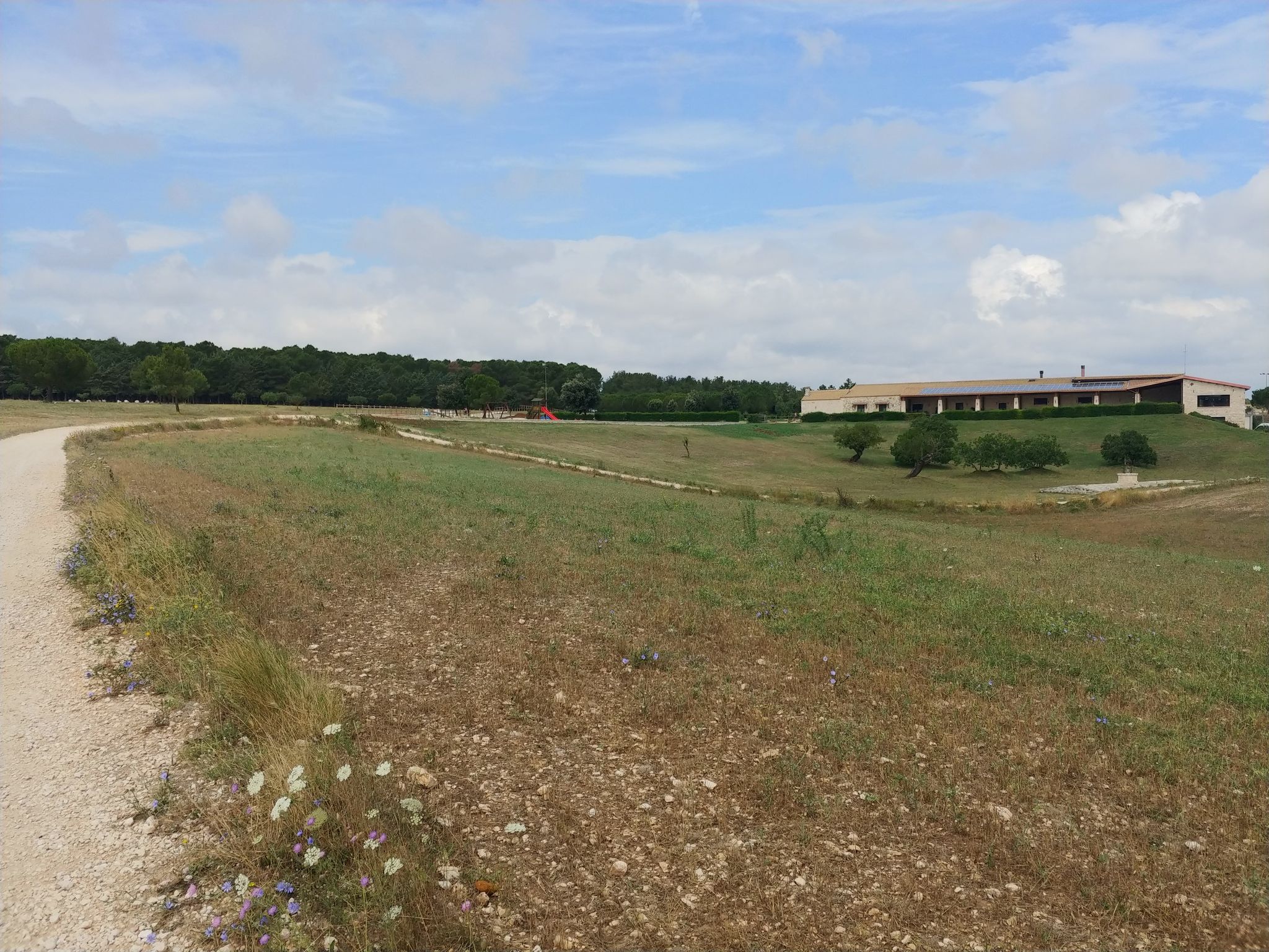 Masseria Chinunno, Foresta Mercadante
