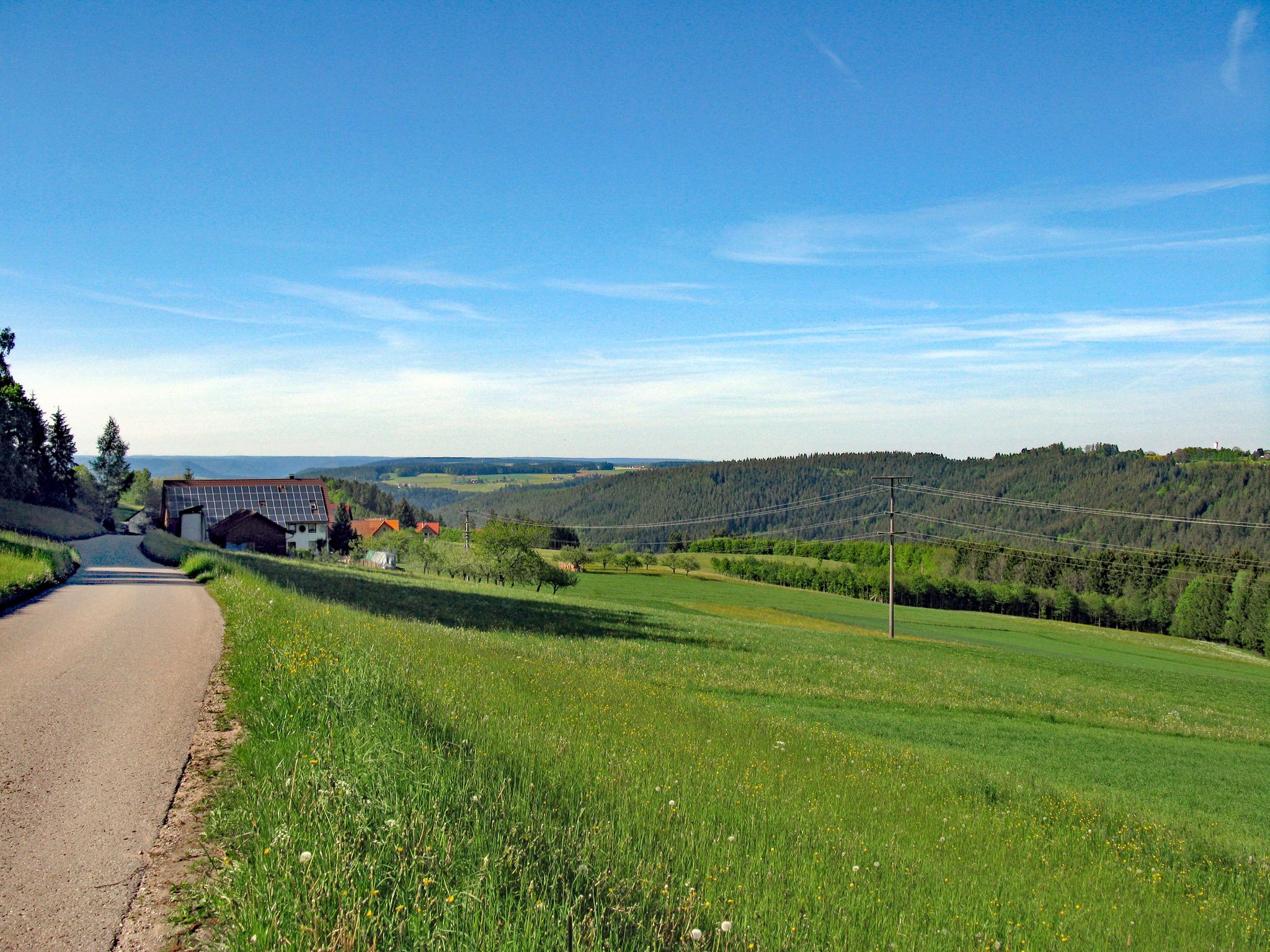 Tischneck Blick auf Sulgen und Nordschwarzwald