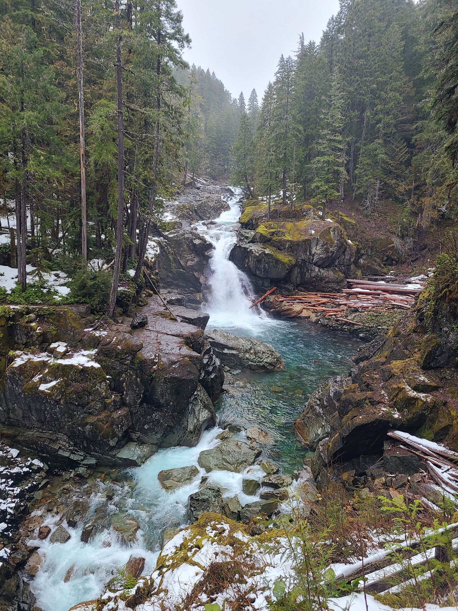 Rushing waterfall and turquoise river through snowy, evergreen forest under overcast sky. - Grove of the Patriarchs – Silver Falls Trail loop from Day Use Parking
