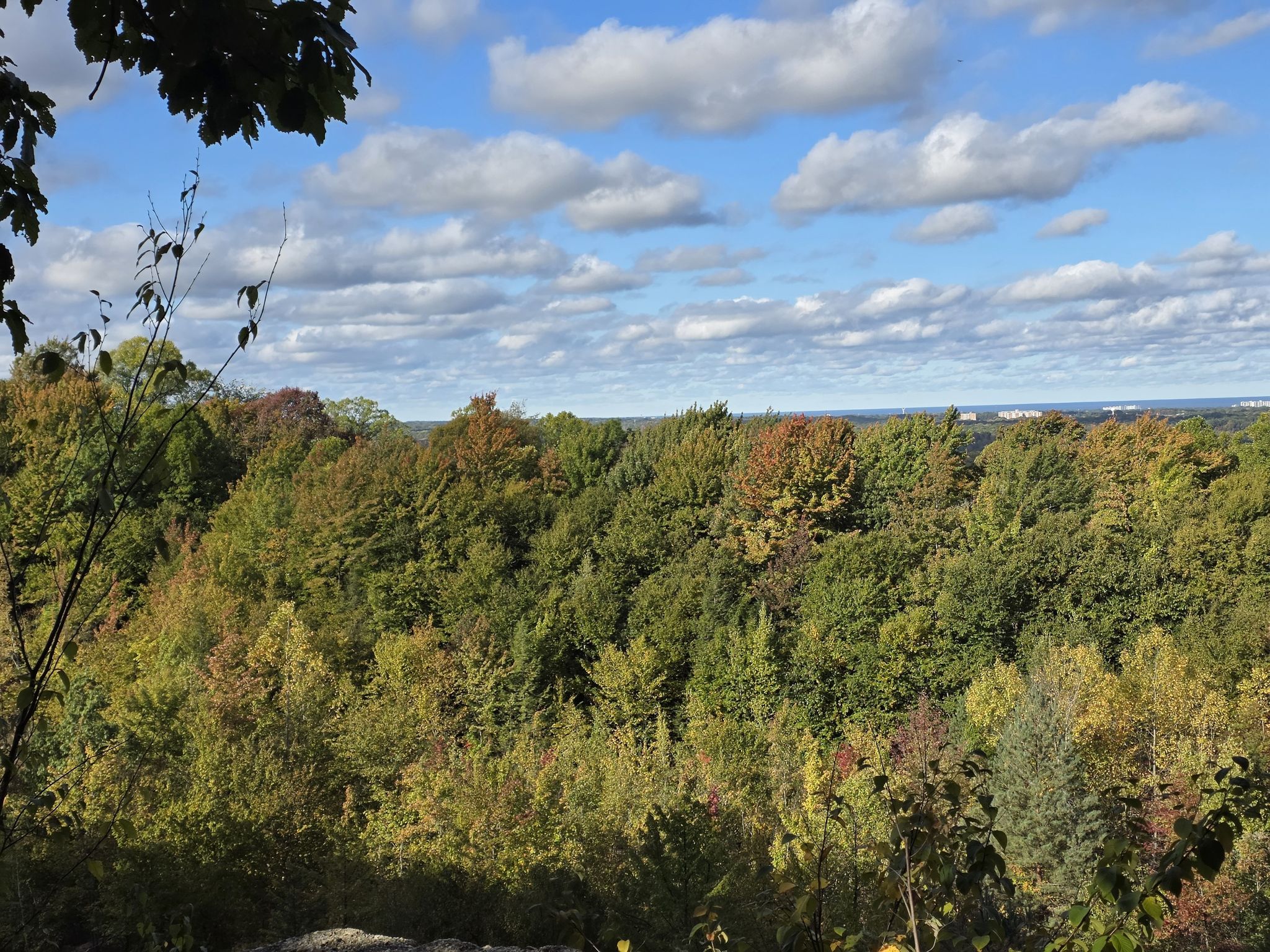 Overlook of a vast forest with autumn colors under a partly cloudy sky. - Chapin Forest Reservation loop