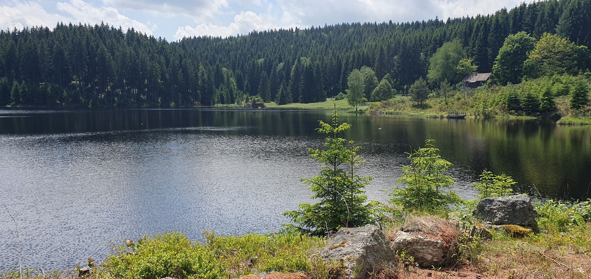 Dürnbergteich