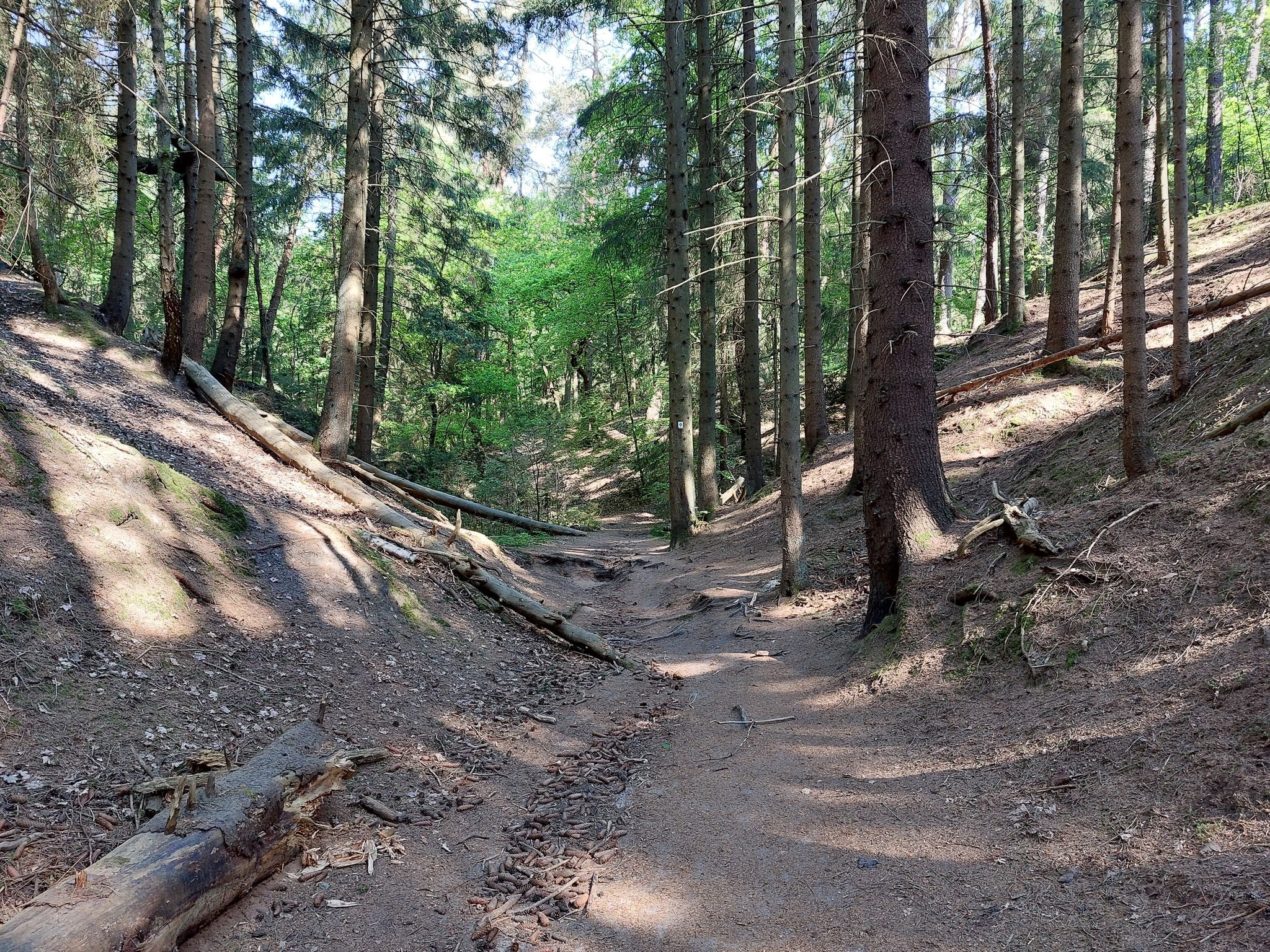Hier toben sich unsere MTB Freaks aus!
