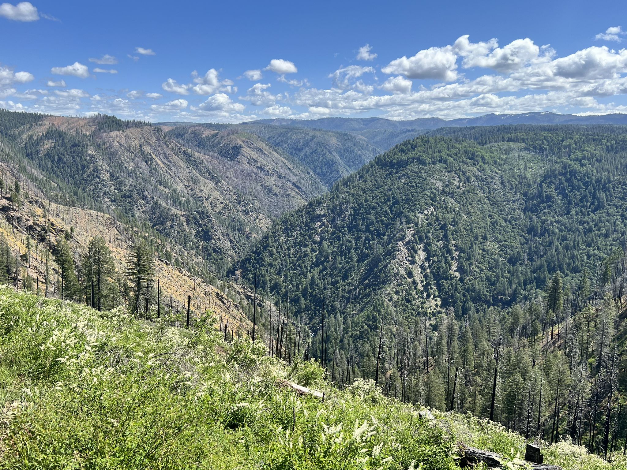 Expansive view of a forested valley with distant mountains under a cloudy sky. - Western States Trail: Michigan Bluff to Last Chance