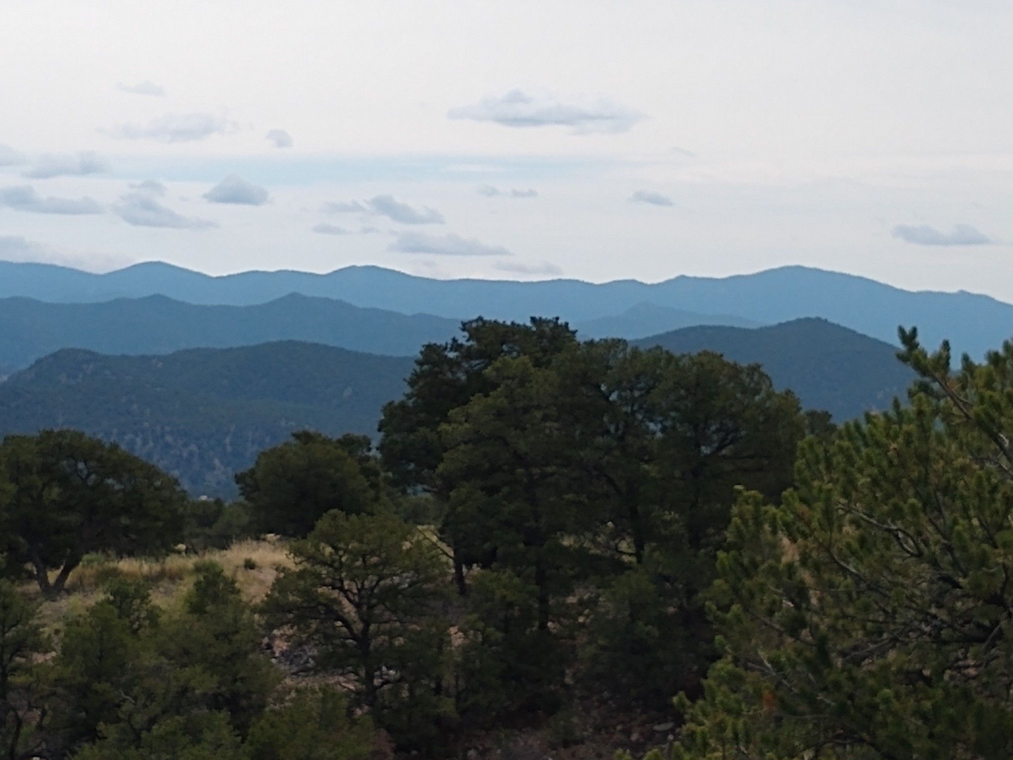 Distant blue mountains rise above a forested landscape under a cloudy sky. - The Salida Museum – Spartan East Trail loop from Salida