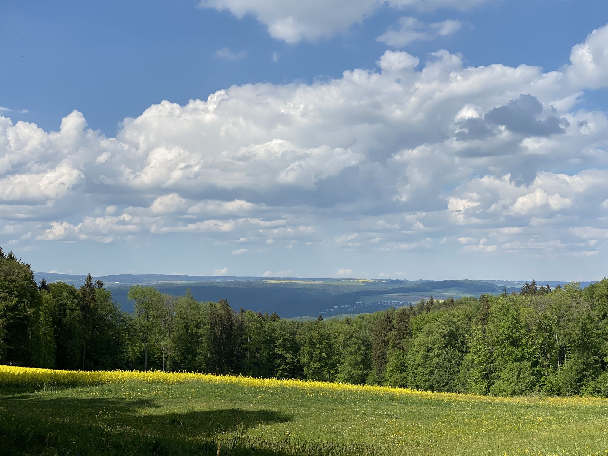 Blick vom Achenberg zum Schwarzwald