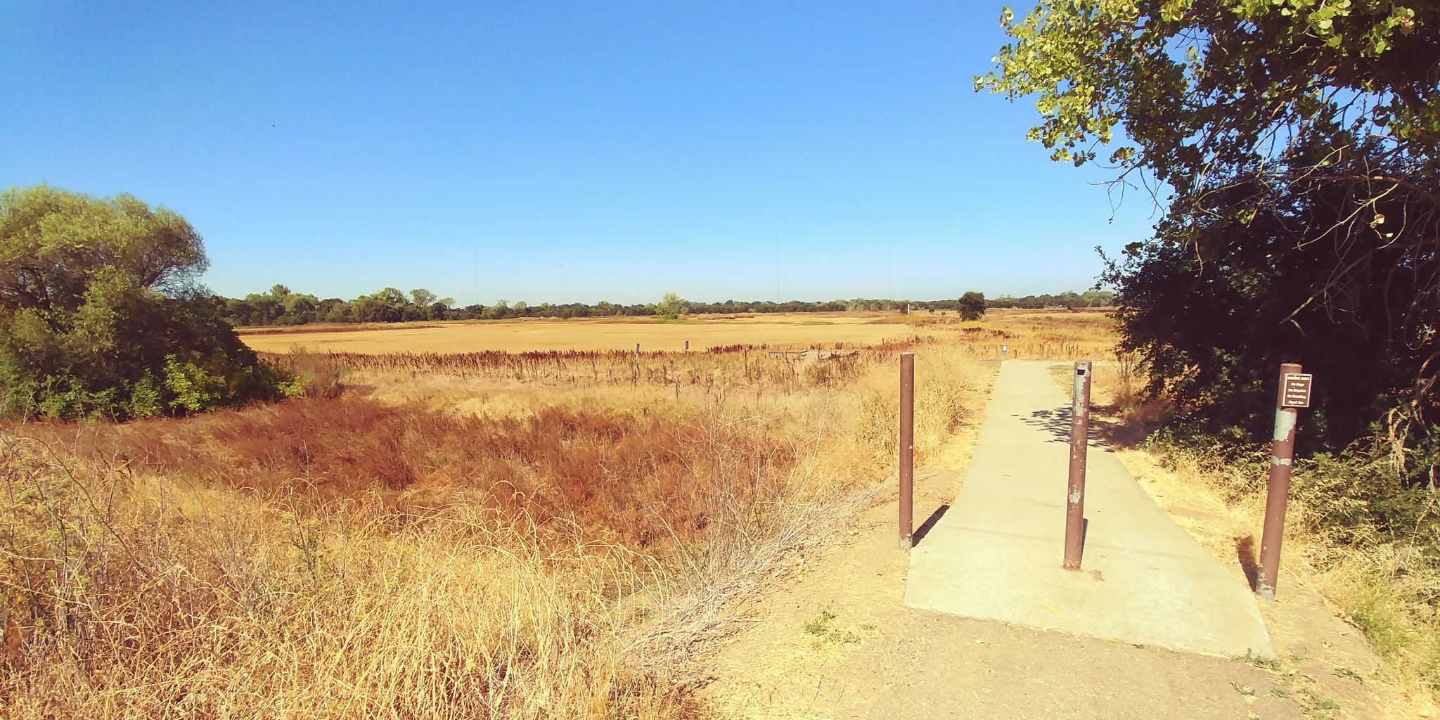 Bright sun illuminates a path entering a golden, dry field under a clear sky. - Wetlands Walk to River Walk Loop