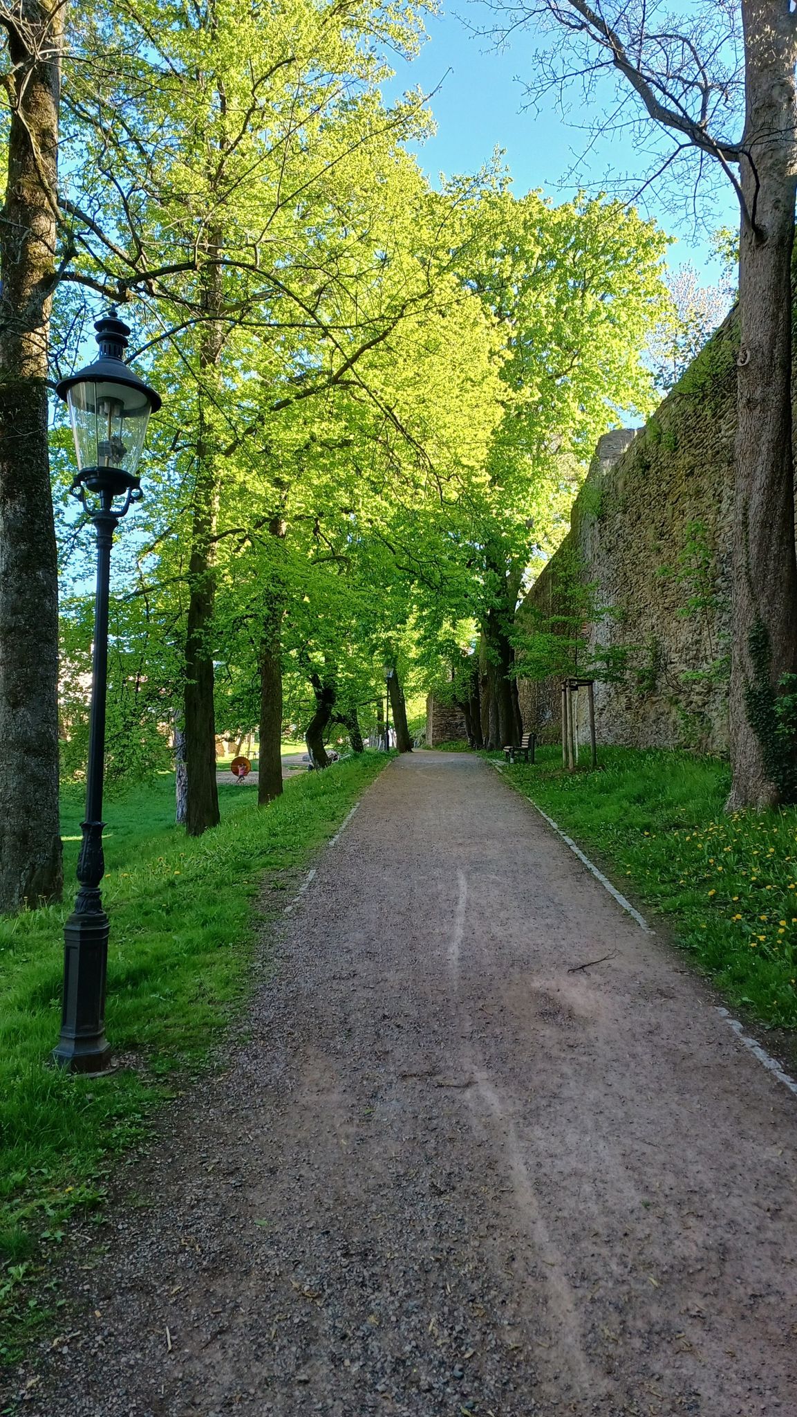 Stadtmauer