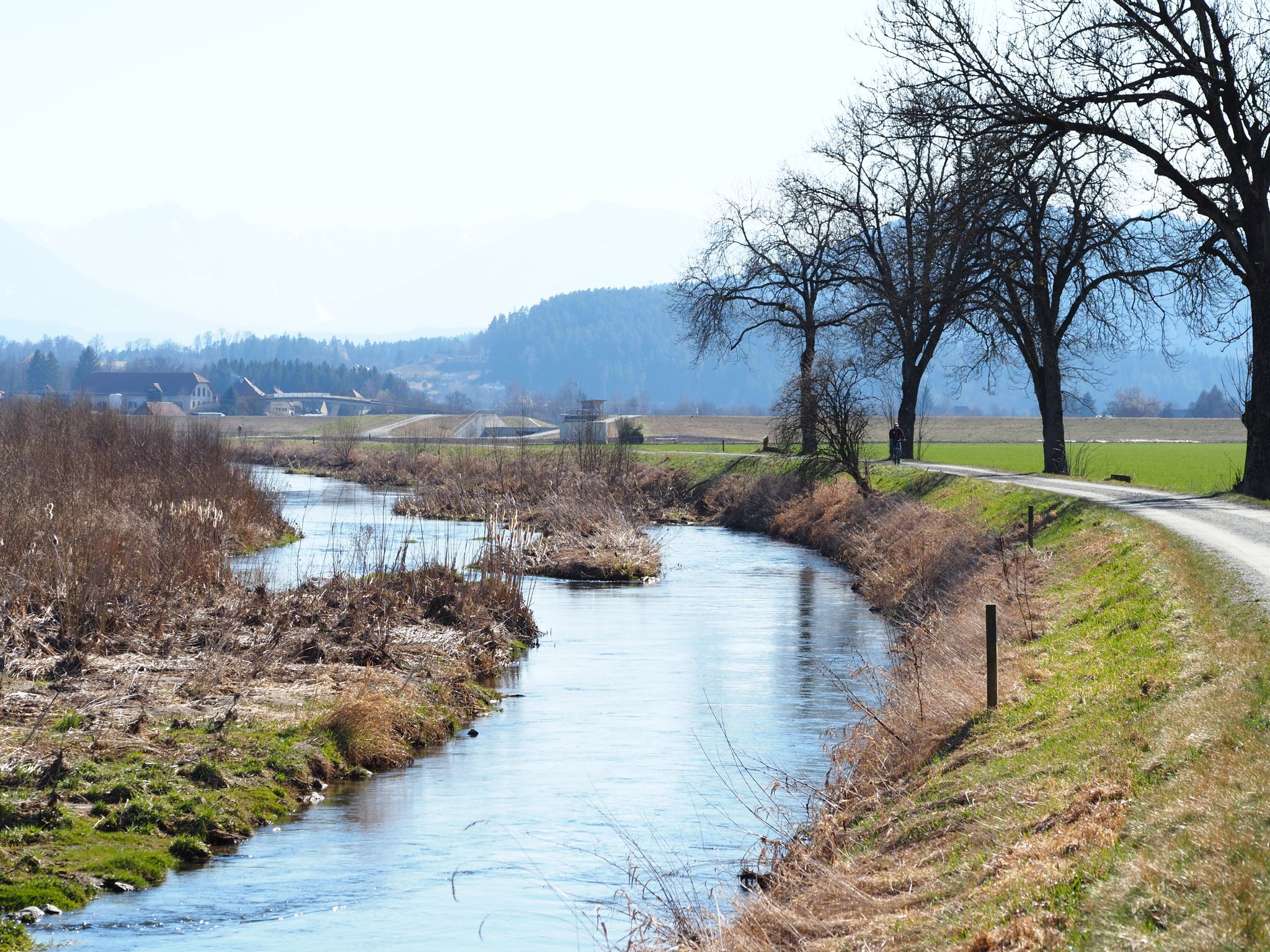 Glanauen