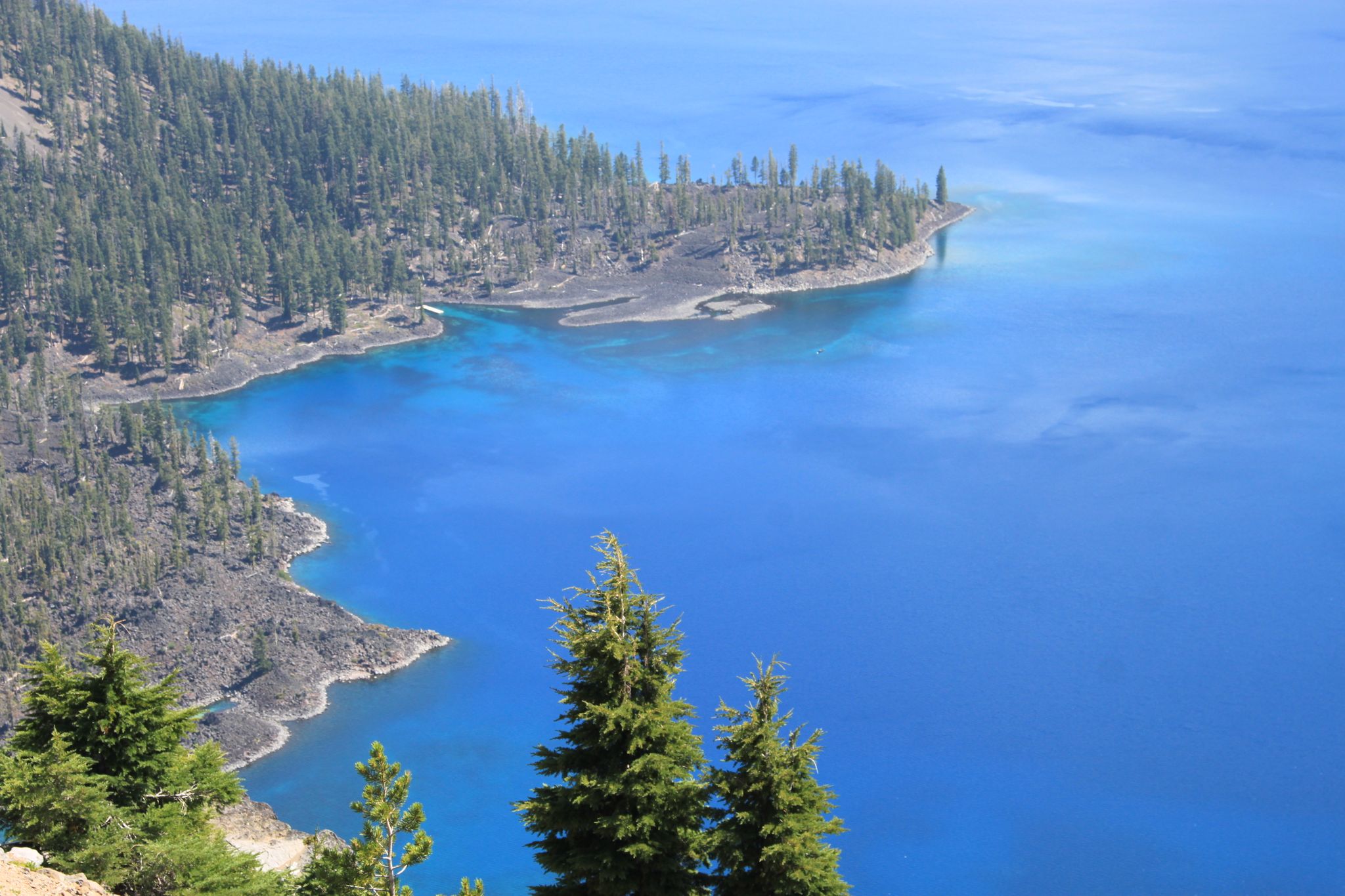 Bright blue lake with forested and rocky shores, sunny daylight. - Rim Drive loop around Crater Lake