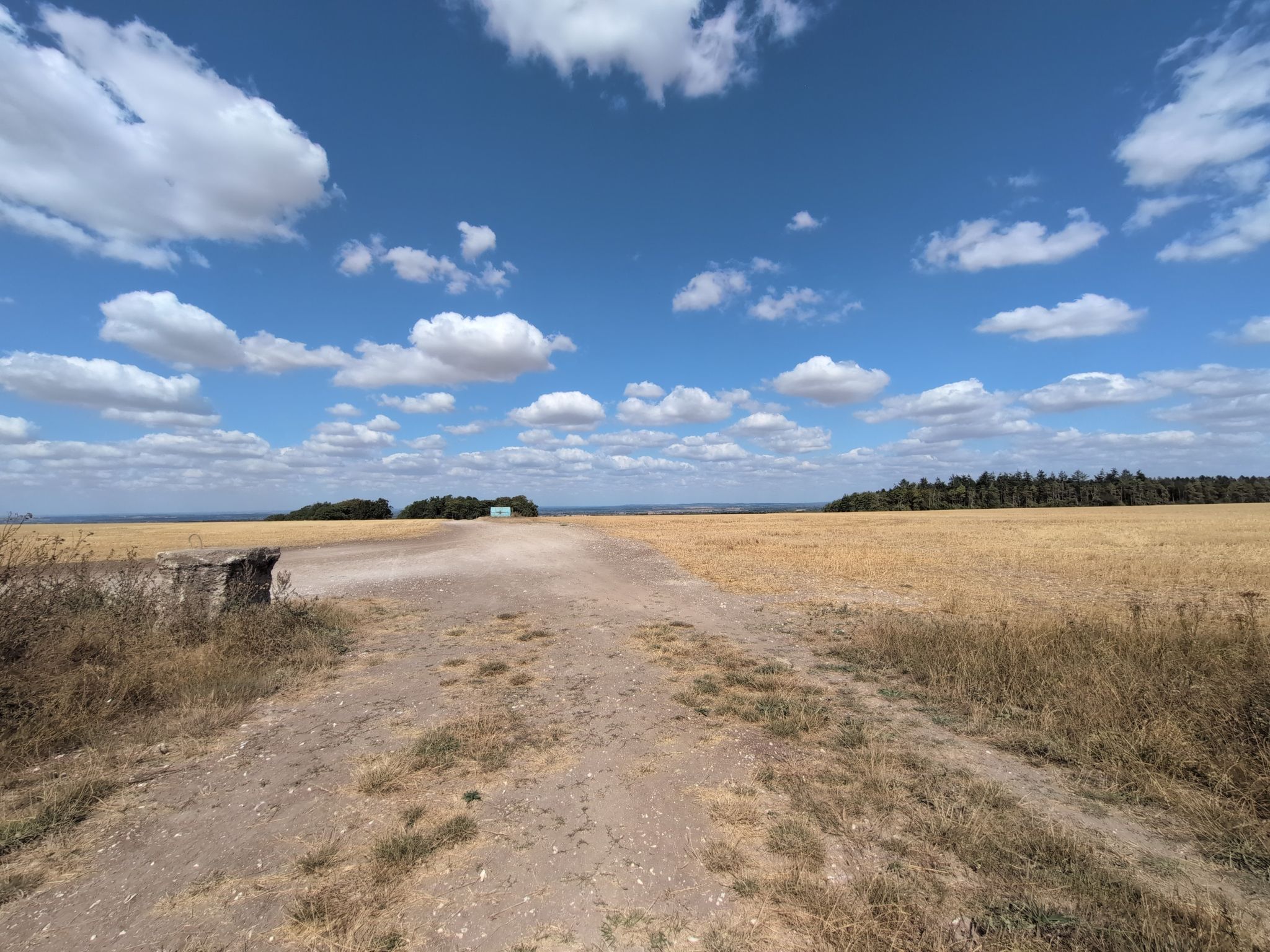 top of the field on the Ridgeway 