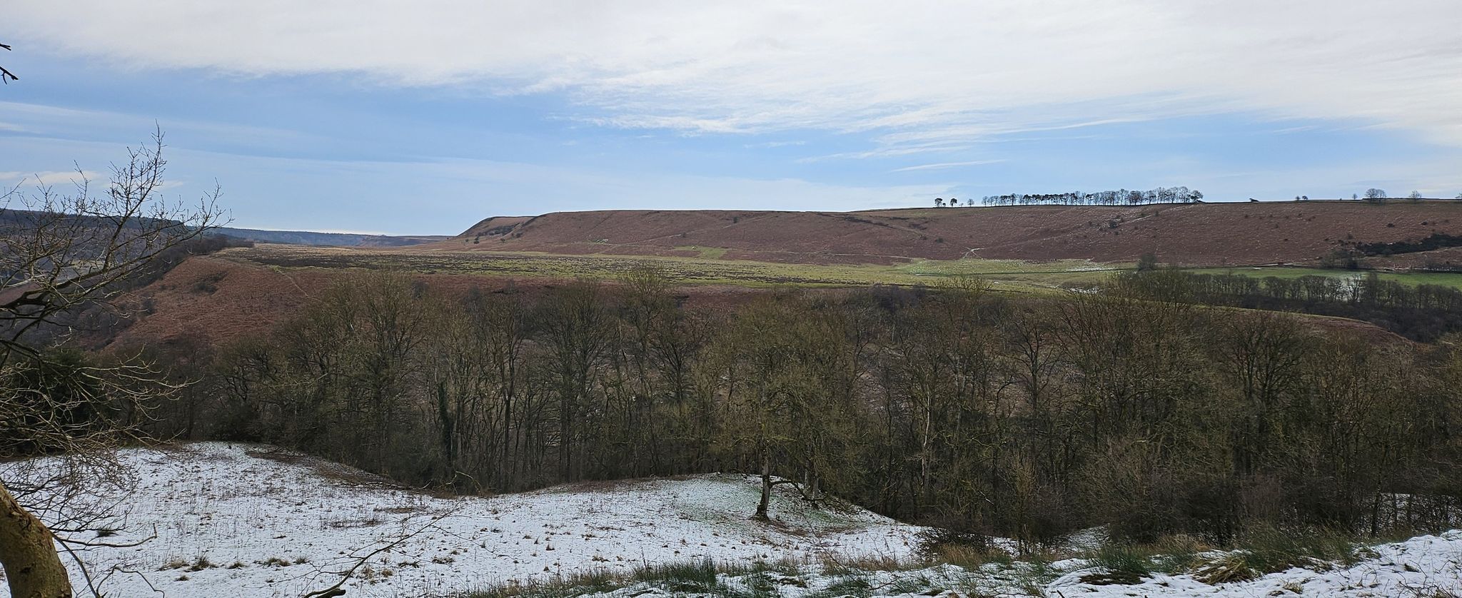 View east