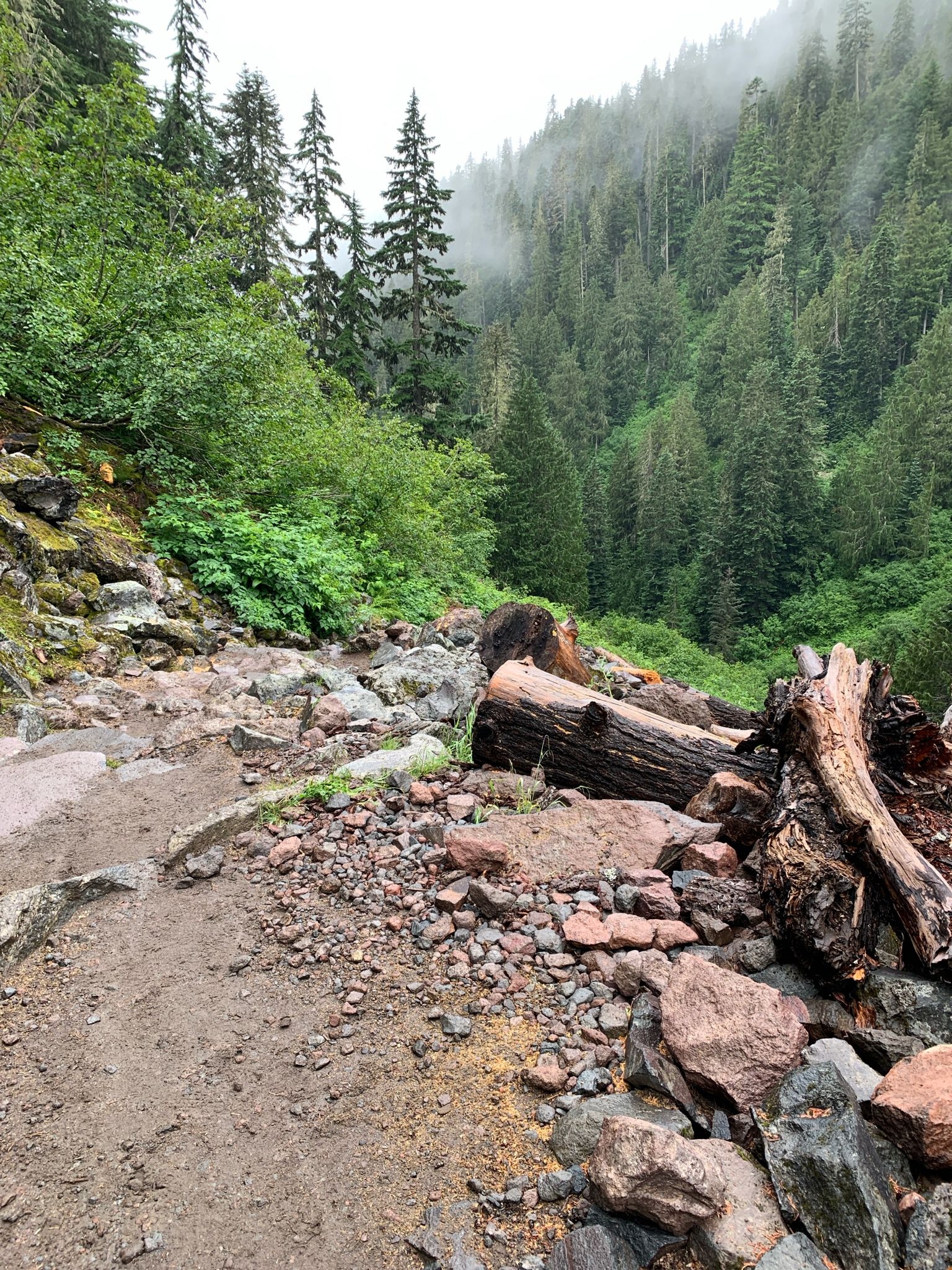 Rocky trail with fallen logs in a misty, dense evergreen forest. - Comet Falls Trail