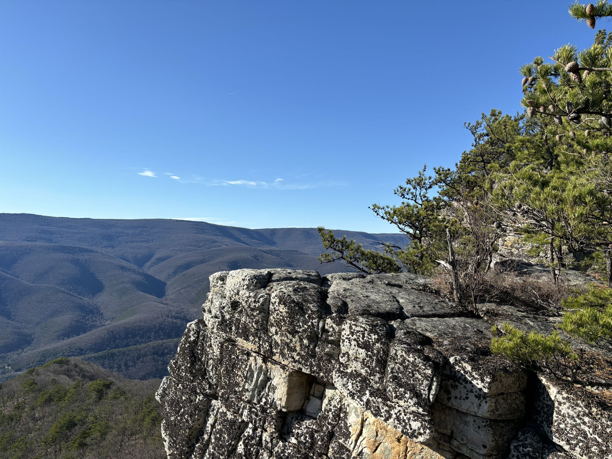 Sunny view from a rocky cliff overlooking forested mountain ranges. - North Fork Mountain Trail: Route 33 to Route 28