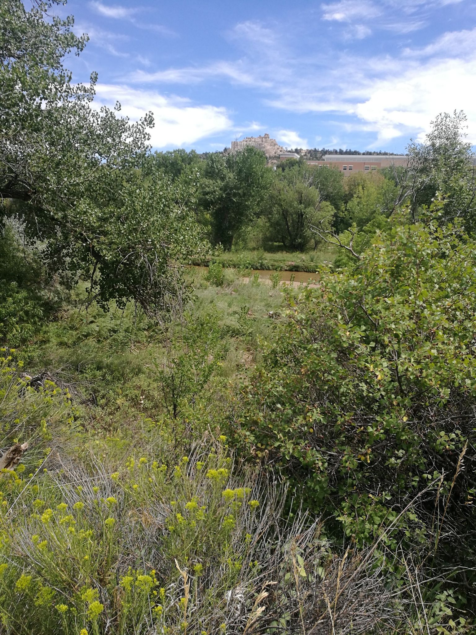Overgrown green landscape with a river and a distant building on a hill. - Main Entrance Gates – Waterfall on Monument Creek loop from InTown Suites