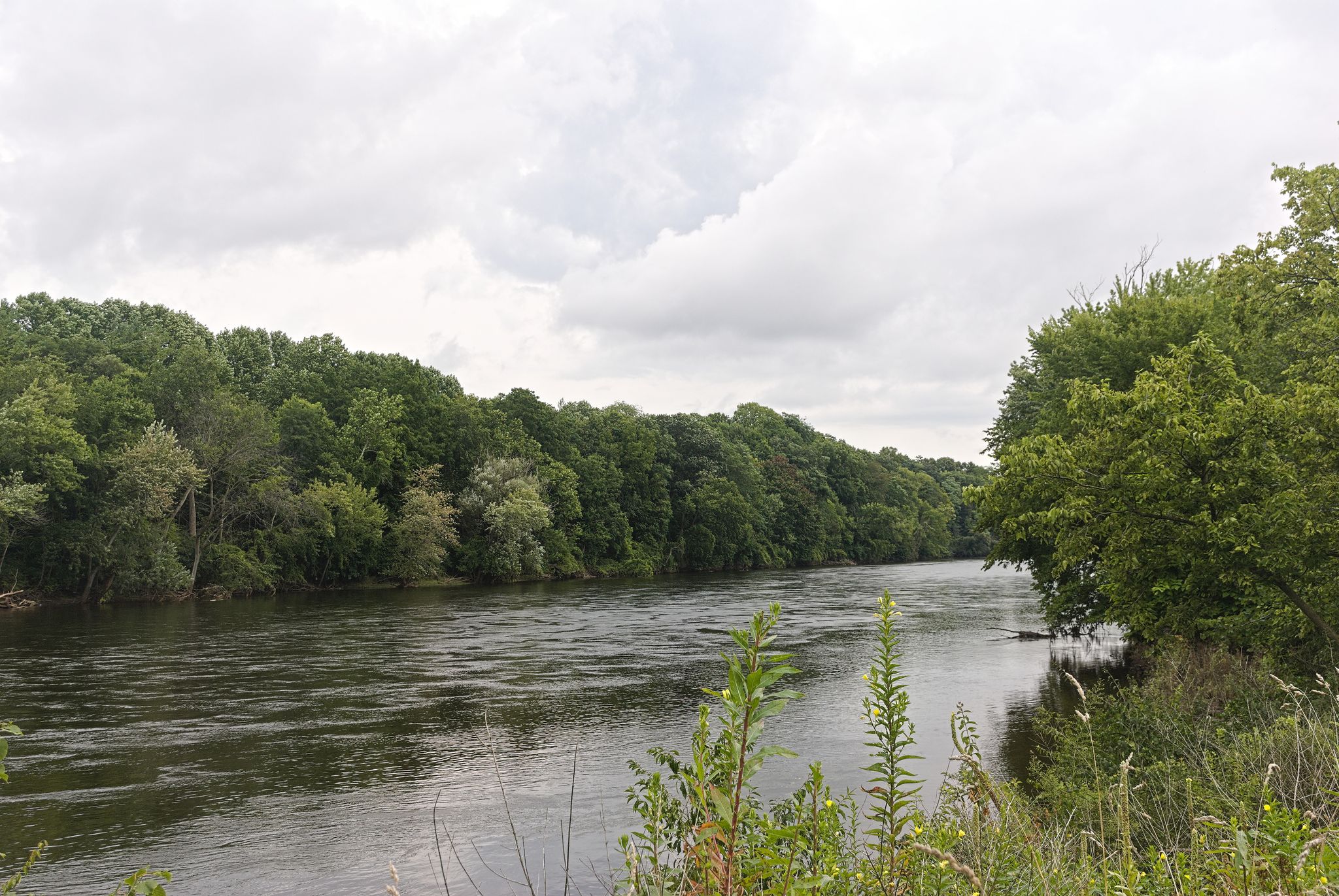 Wide river flowing past dense green trees under an overcast, cloudy sky. - Basilica of the Sacred Heart loop from University of Notre Dame du Lac