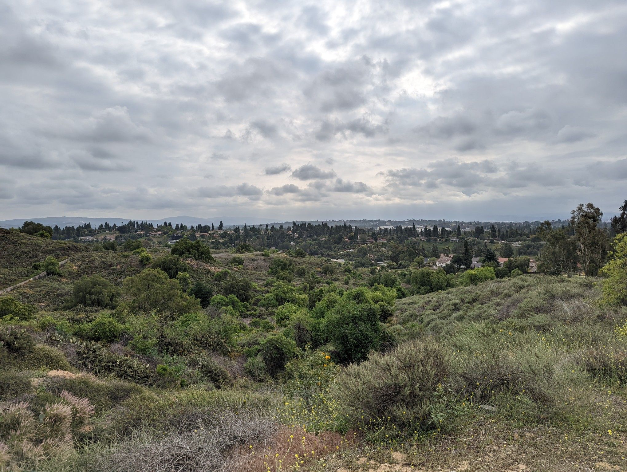 Overcast sky above a vast, green, hilly landscape with distant trees. - Laguna Lake, Brea Creek, & Hiltscher Park loop