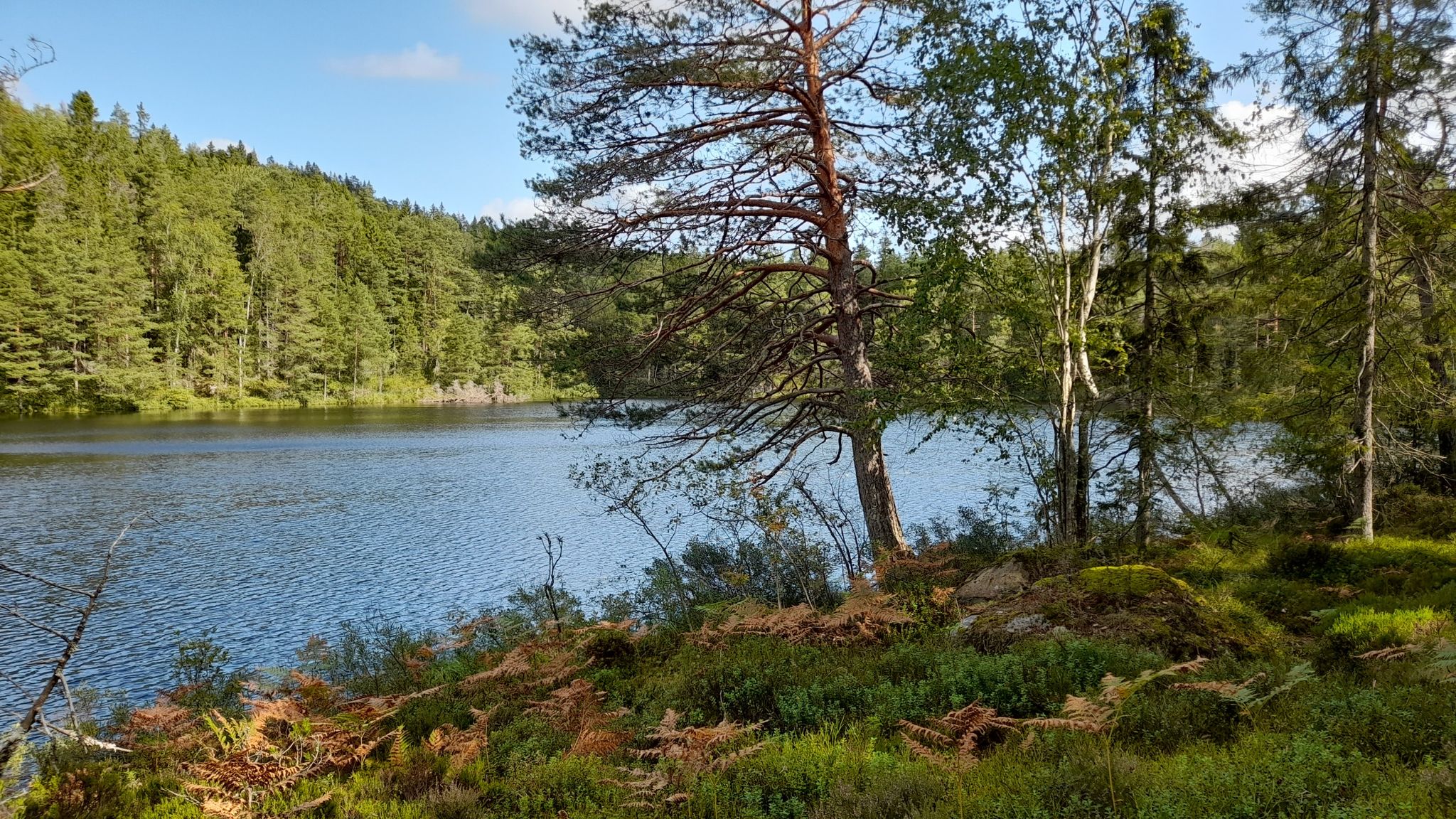 beautiful lake