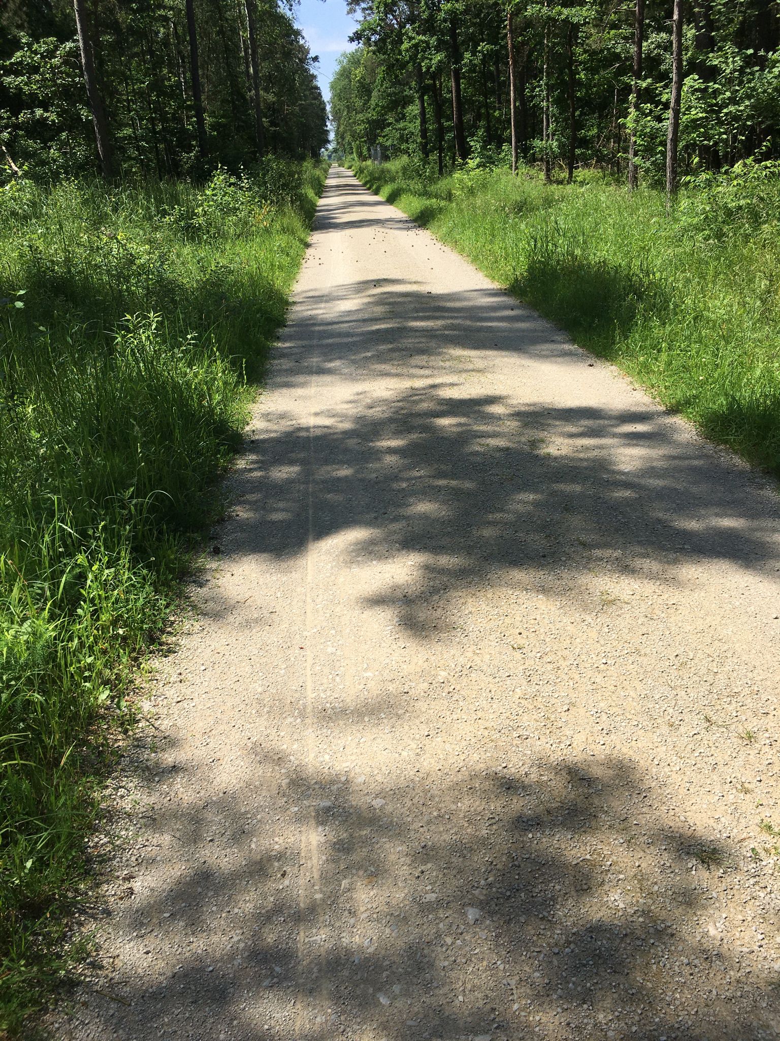 Richtung geradeaus