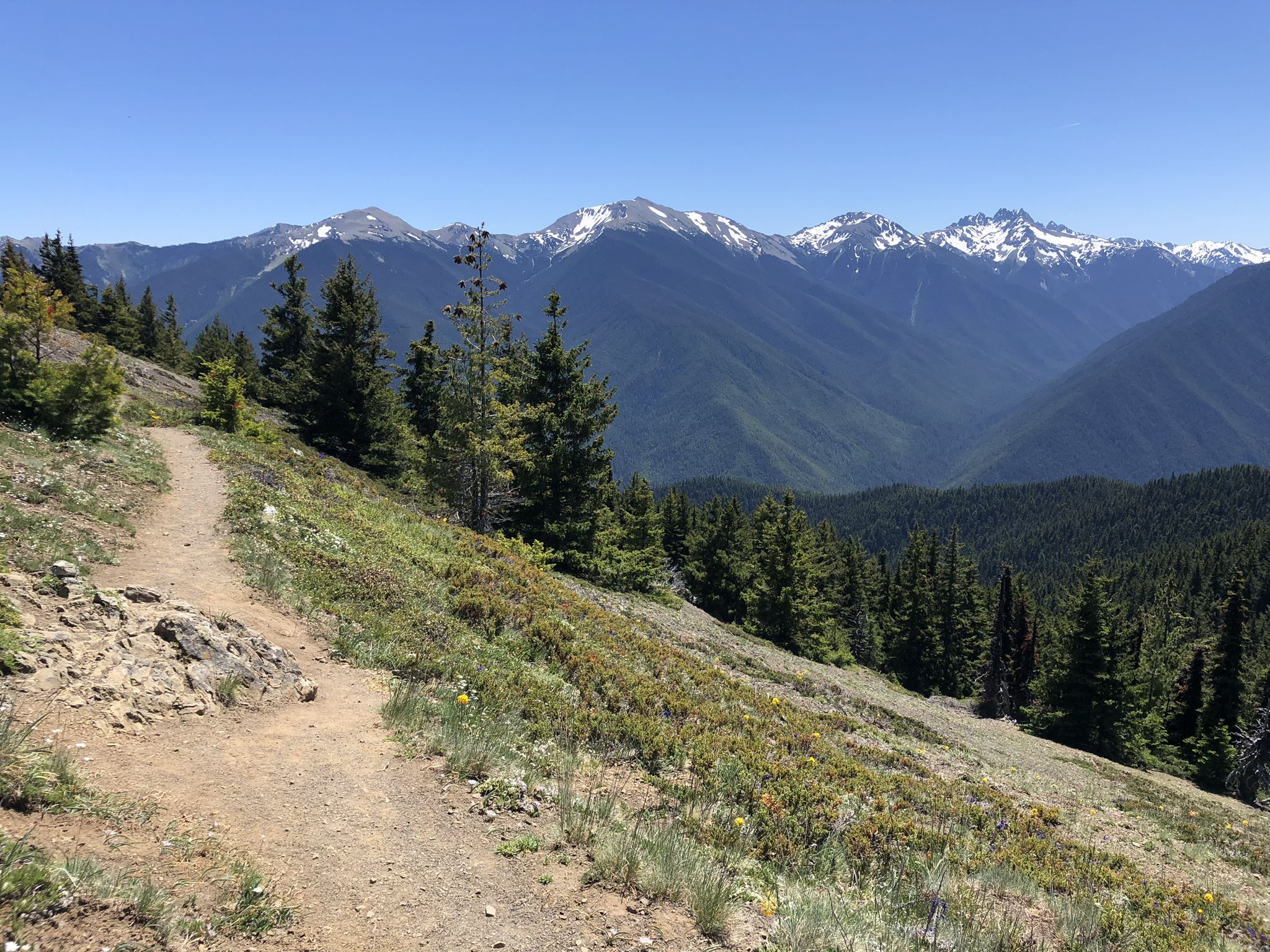 Dirt trail on a hillside overlooking snow-capped mountains under clear sky. - Deer Ridge Trail