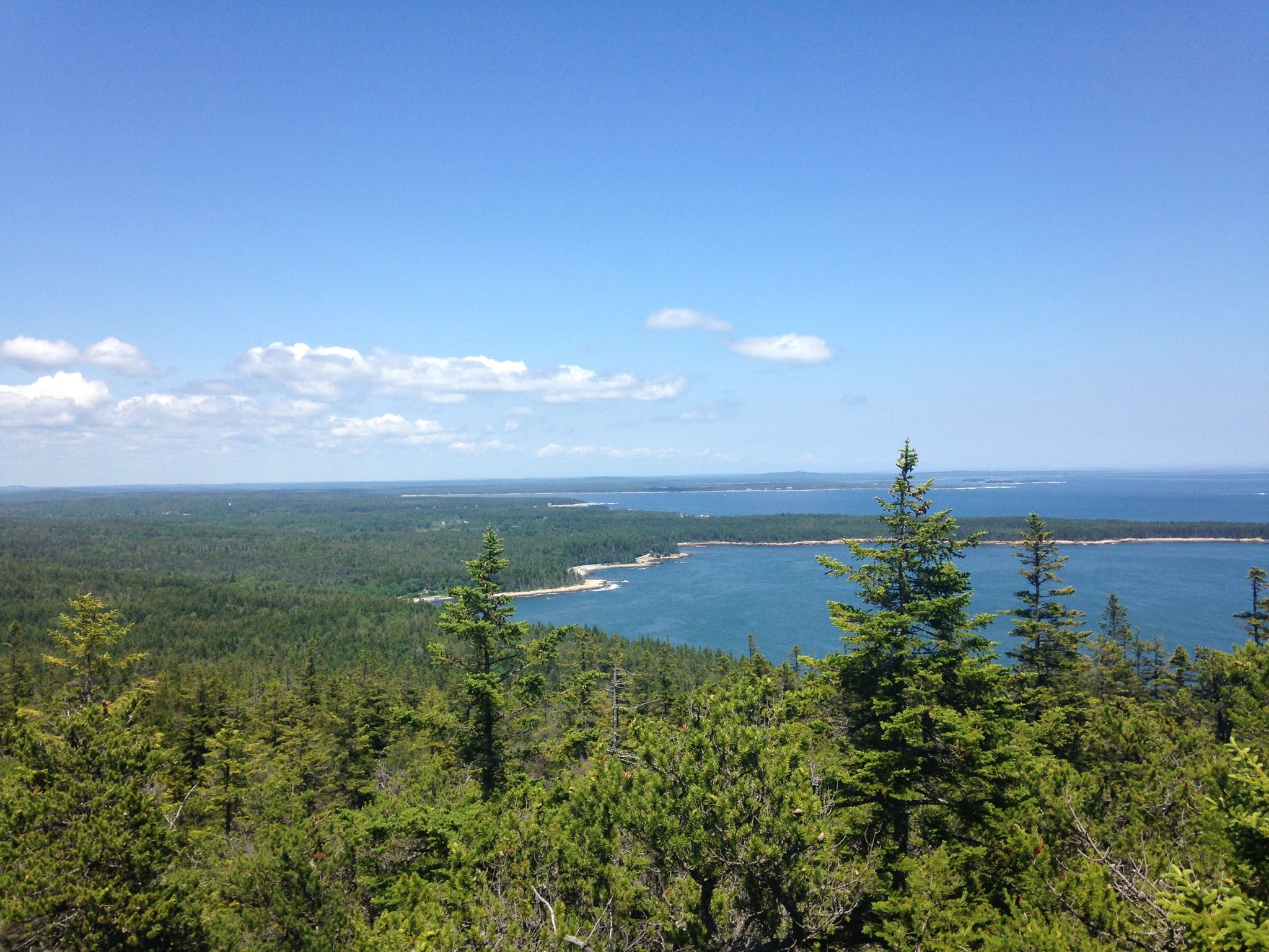 Panoramic view of a vast green forest meeting a blue ocean under clear skies. - Schoodic Head and Buck Cove Mountain Trail