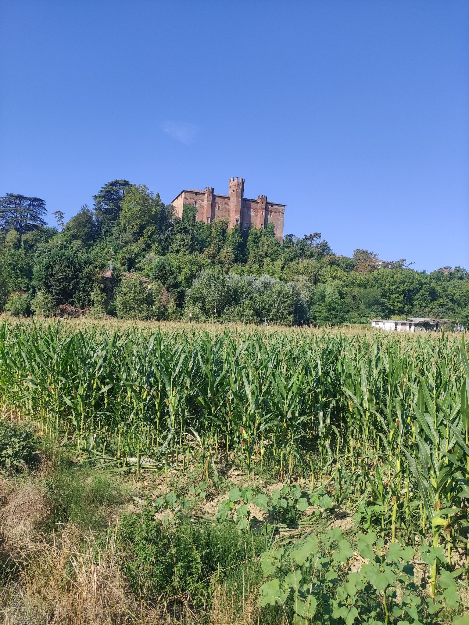 Burg von Bozzole