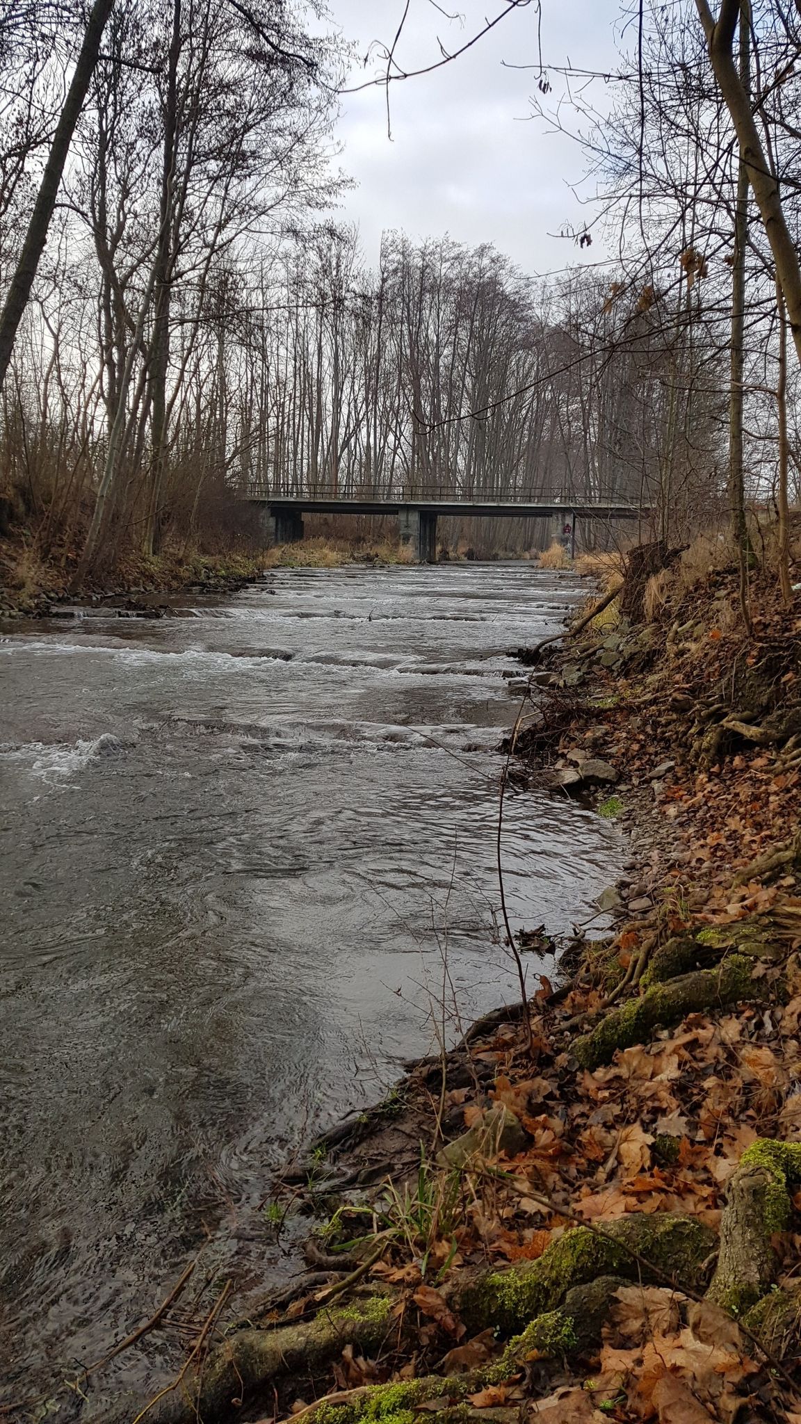 Das "Badeloch" der Apfelstädt im Bereich der Eisenbahnbrücke der Strecke nach Arnstadt