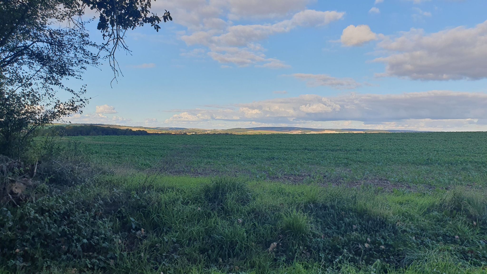 Oberhalb von Foissy