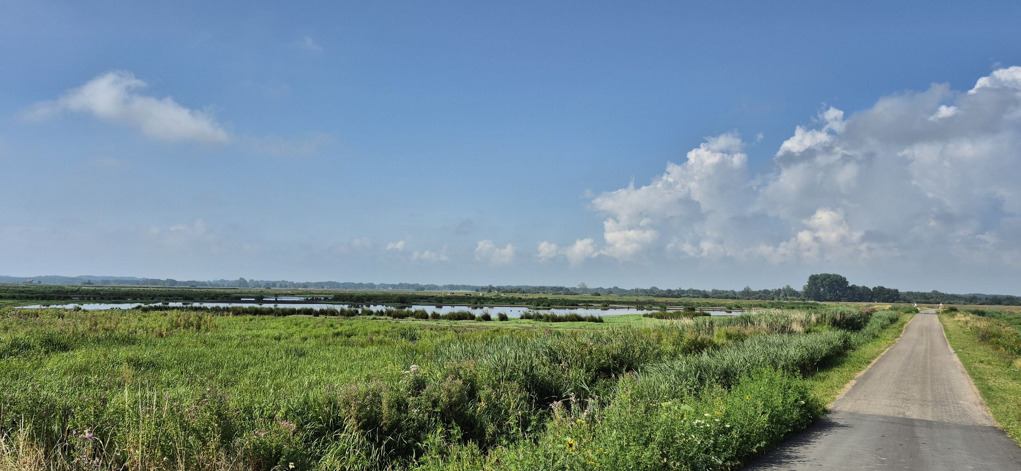 Osdijk