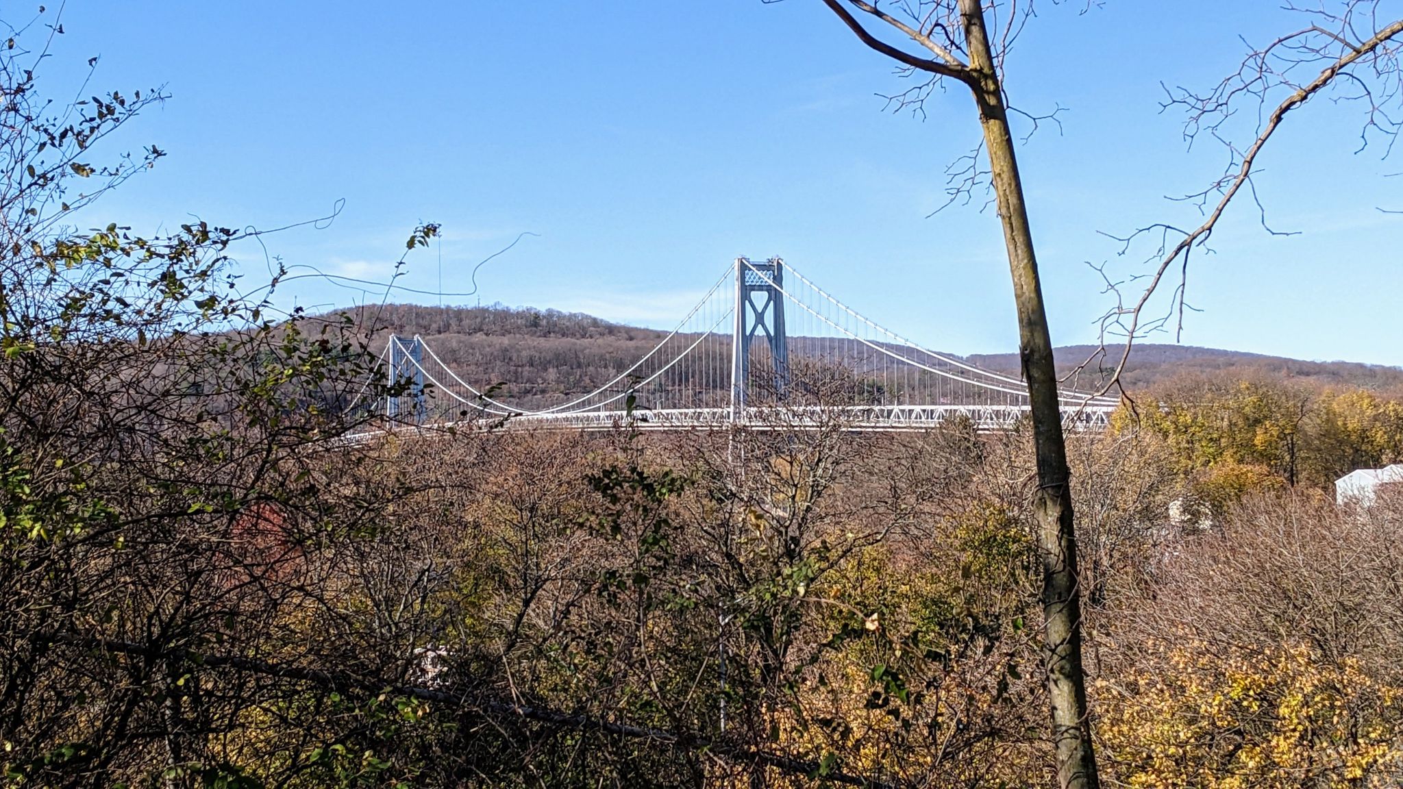A large suspension bridge spans a valley, seen through bare trees. - Vassar Lake loop from Vassar College