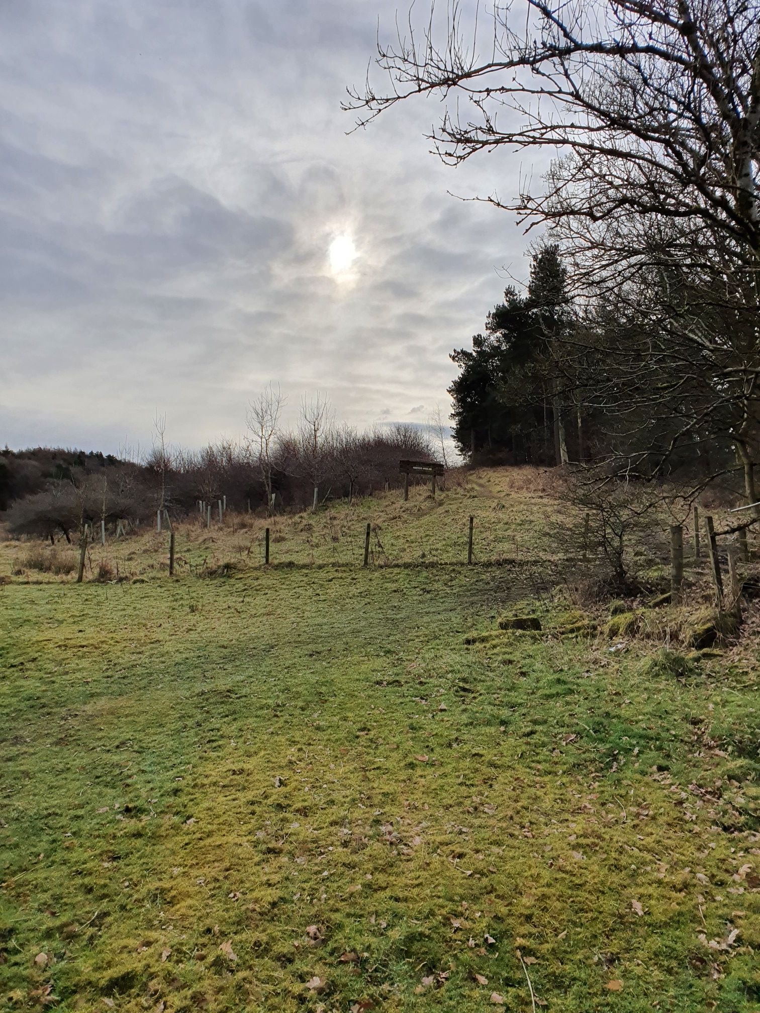 muddy path loads of hills