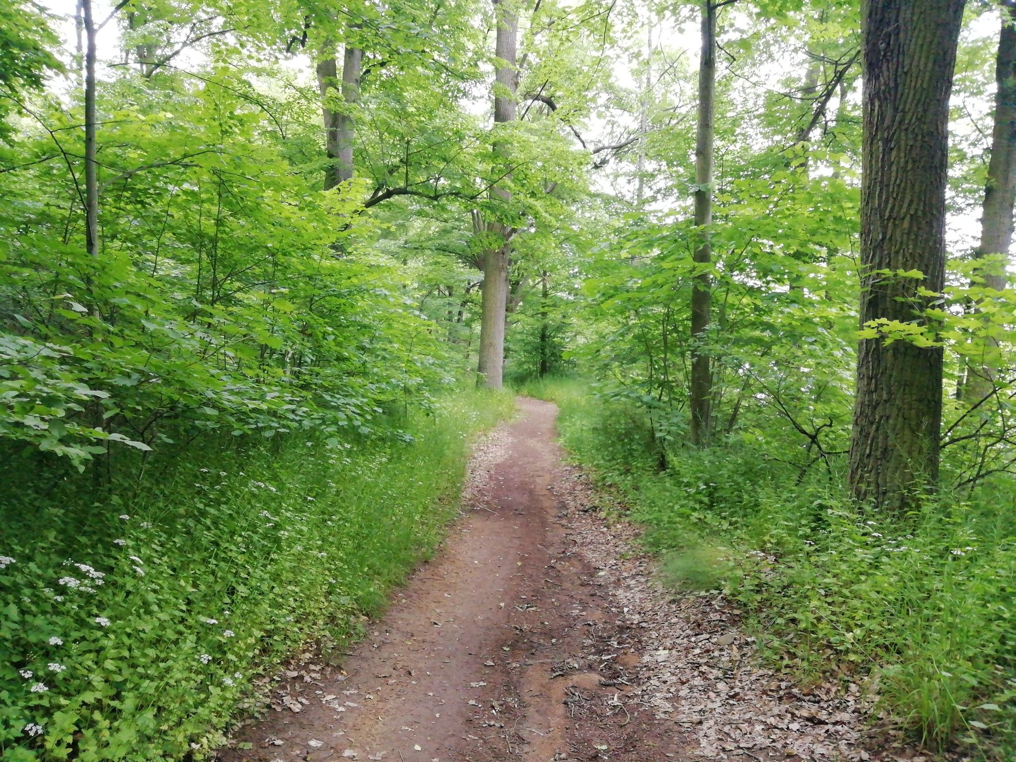 Weg zum Aussichtspunkt