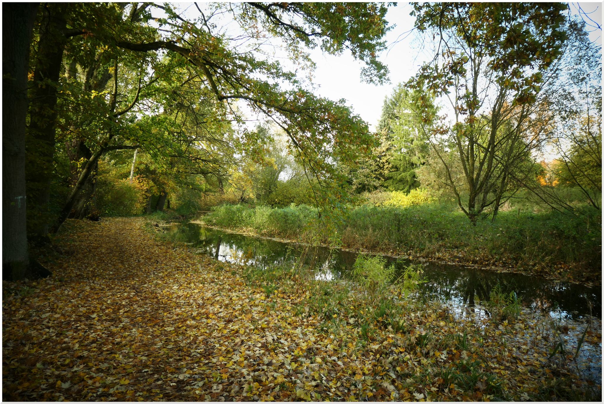 an der Aue