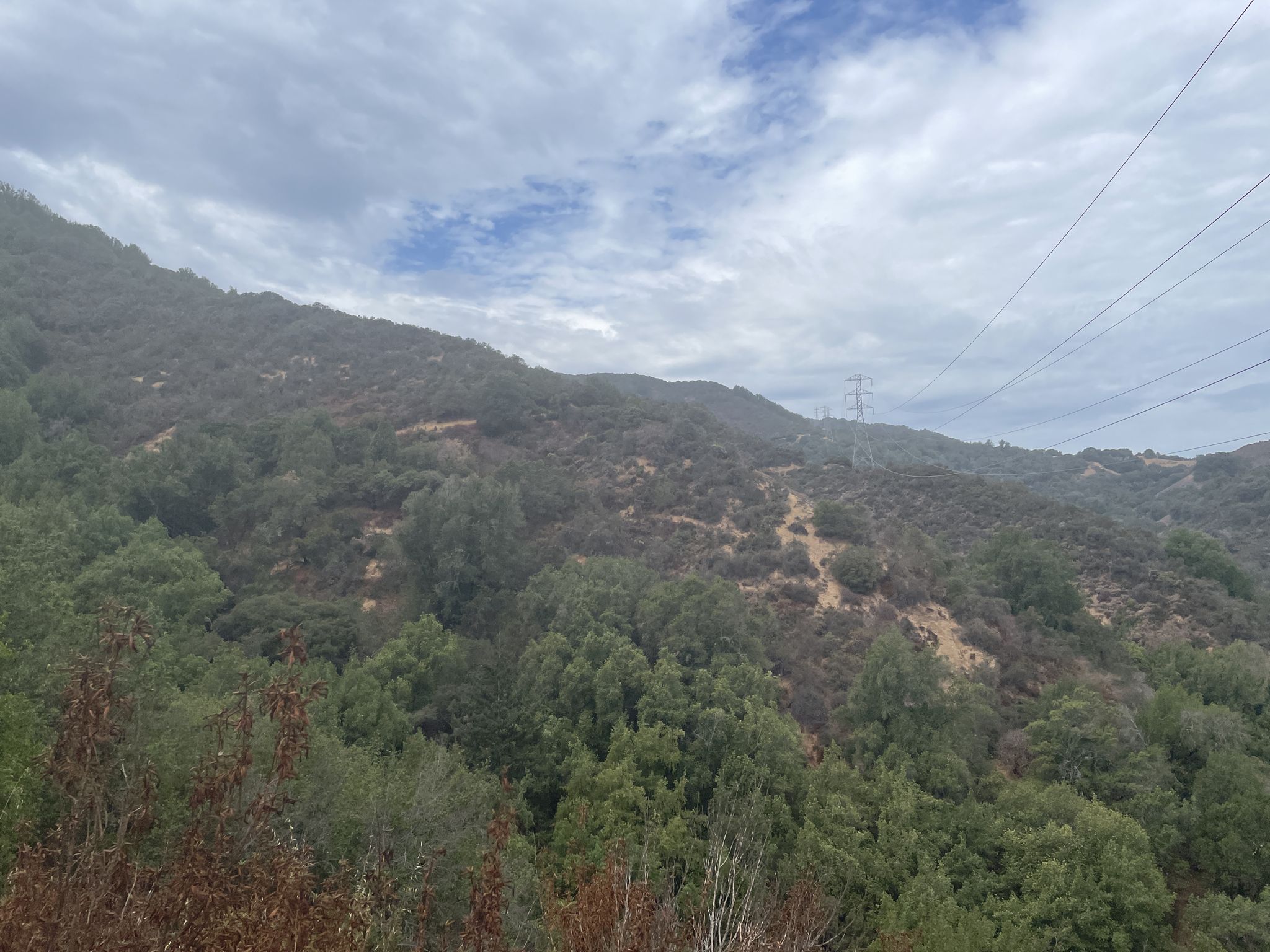 Cloudy sky over a steep, green, and brown hillside with power lines. - Rancho San Antonio County Park – View of the Bay Area loop from Rancho San Antonio County Park