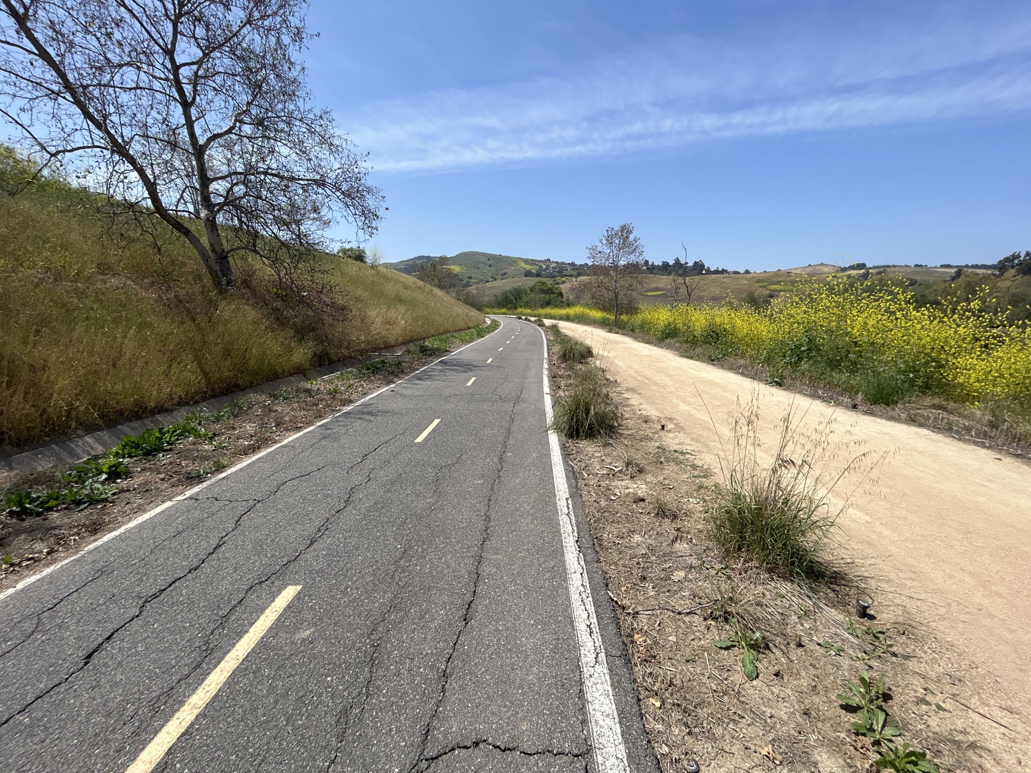 Paved road and dirt path through green and yellow fields under a blue sky. - Shady Canyon Trail