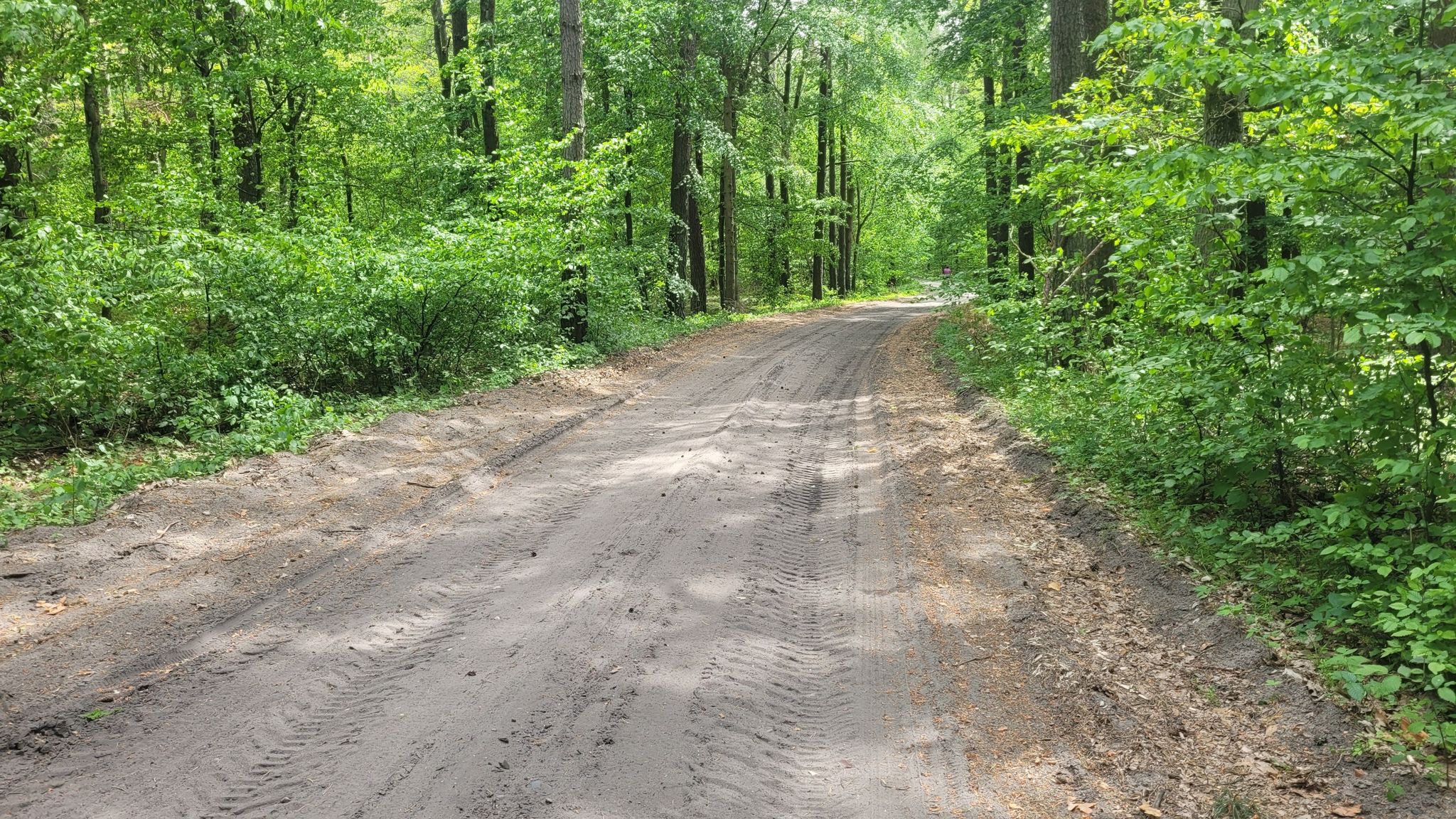 Sandweg...