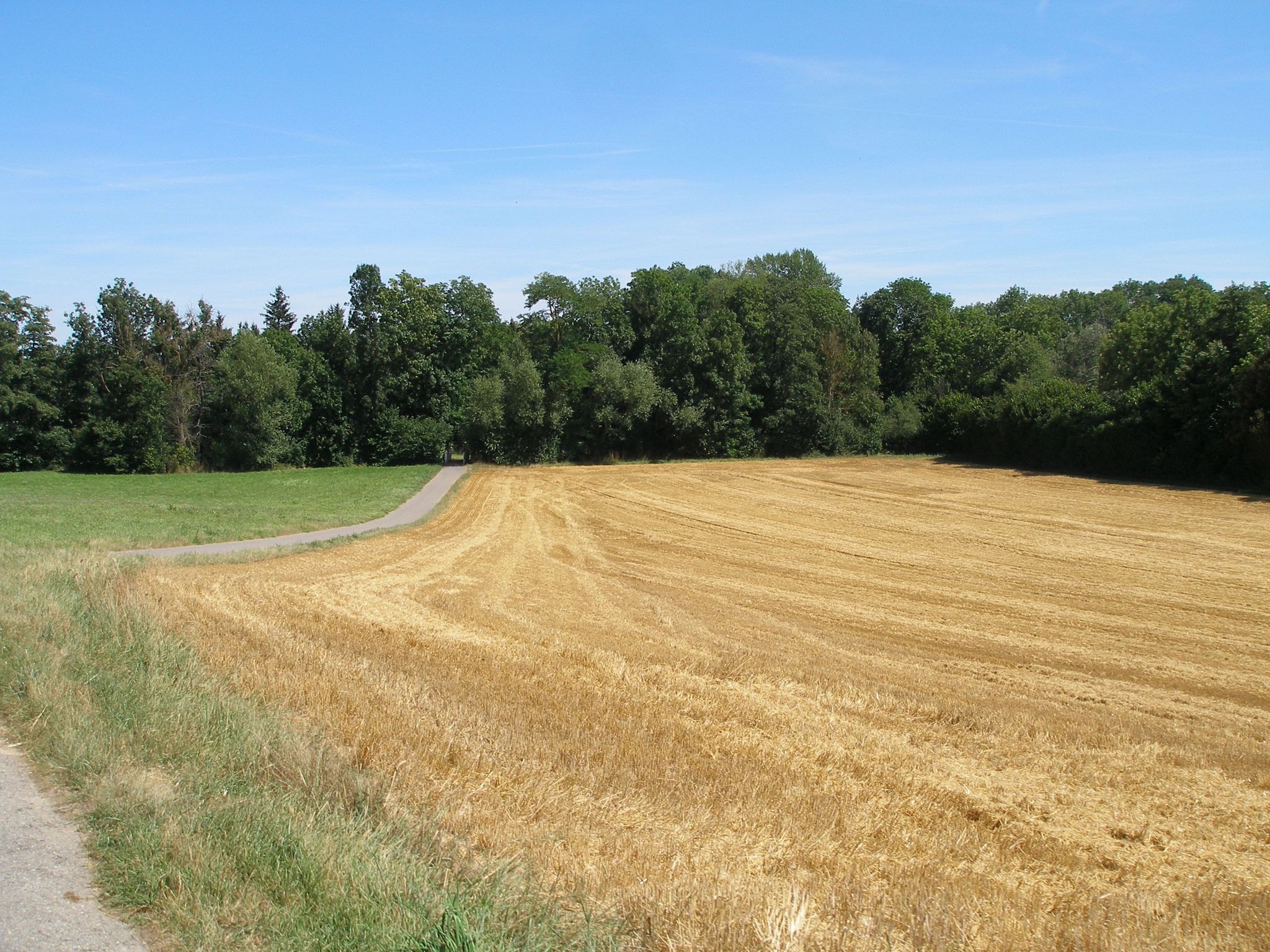 Fahrt im Leintal nach Leingarten