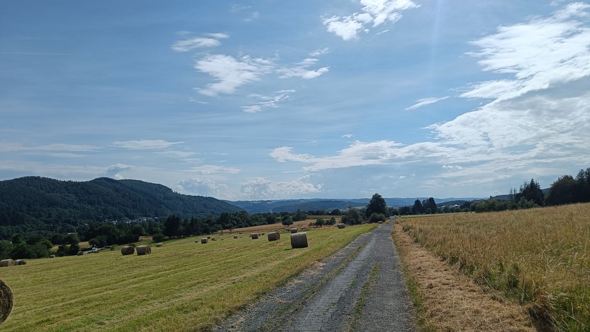 Zwischen Wissenbach und Frohnhausen