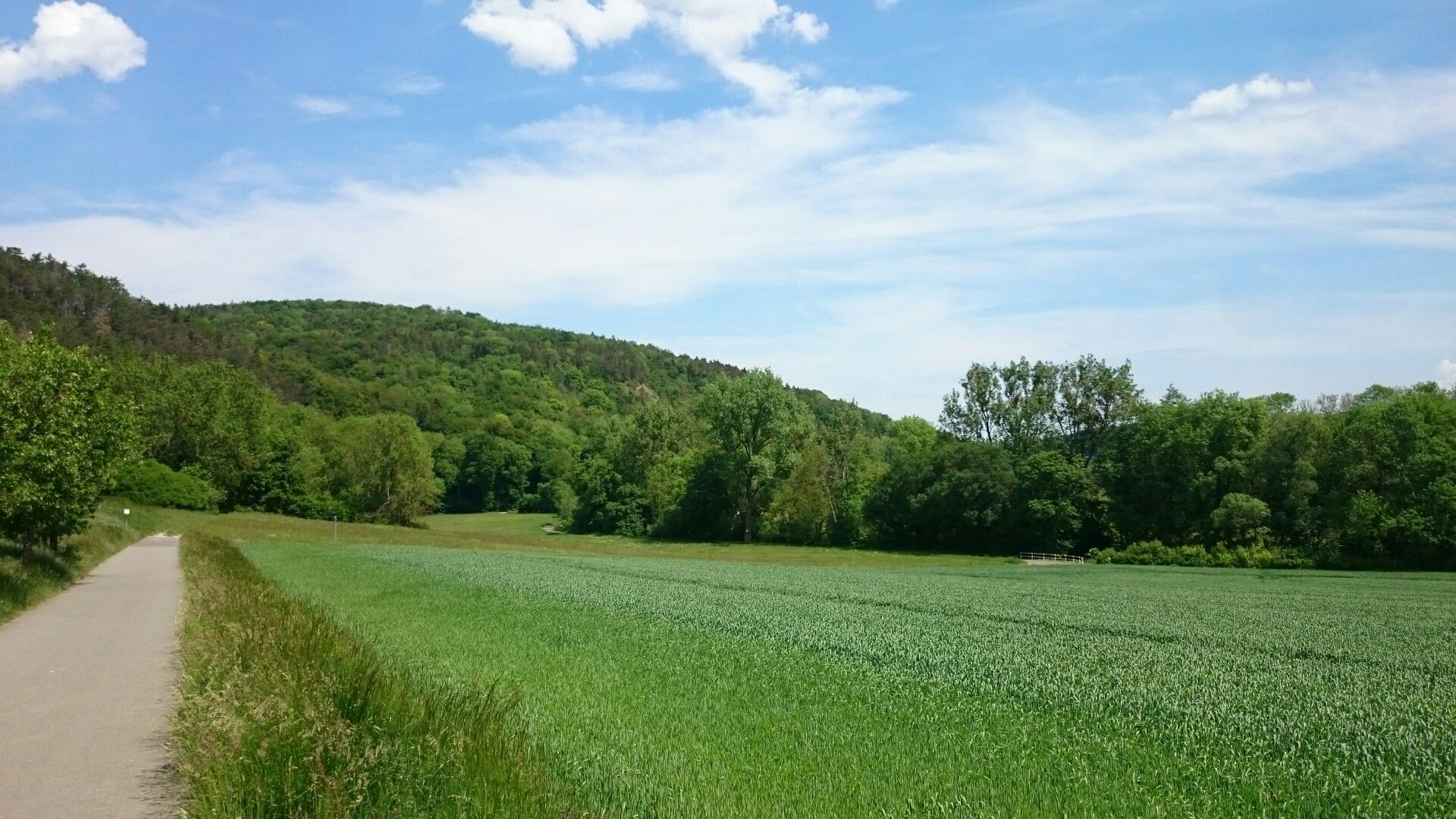 Unterhalb vom Rhömberg